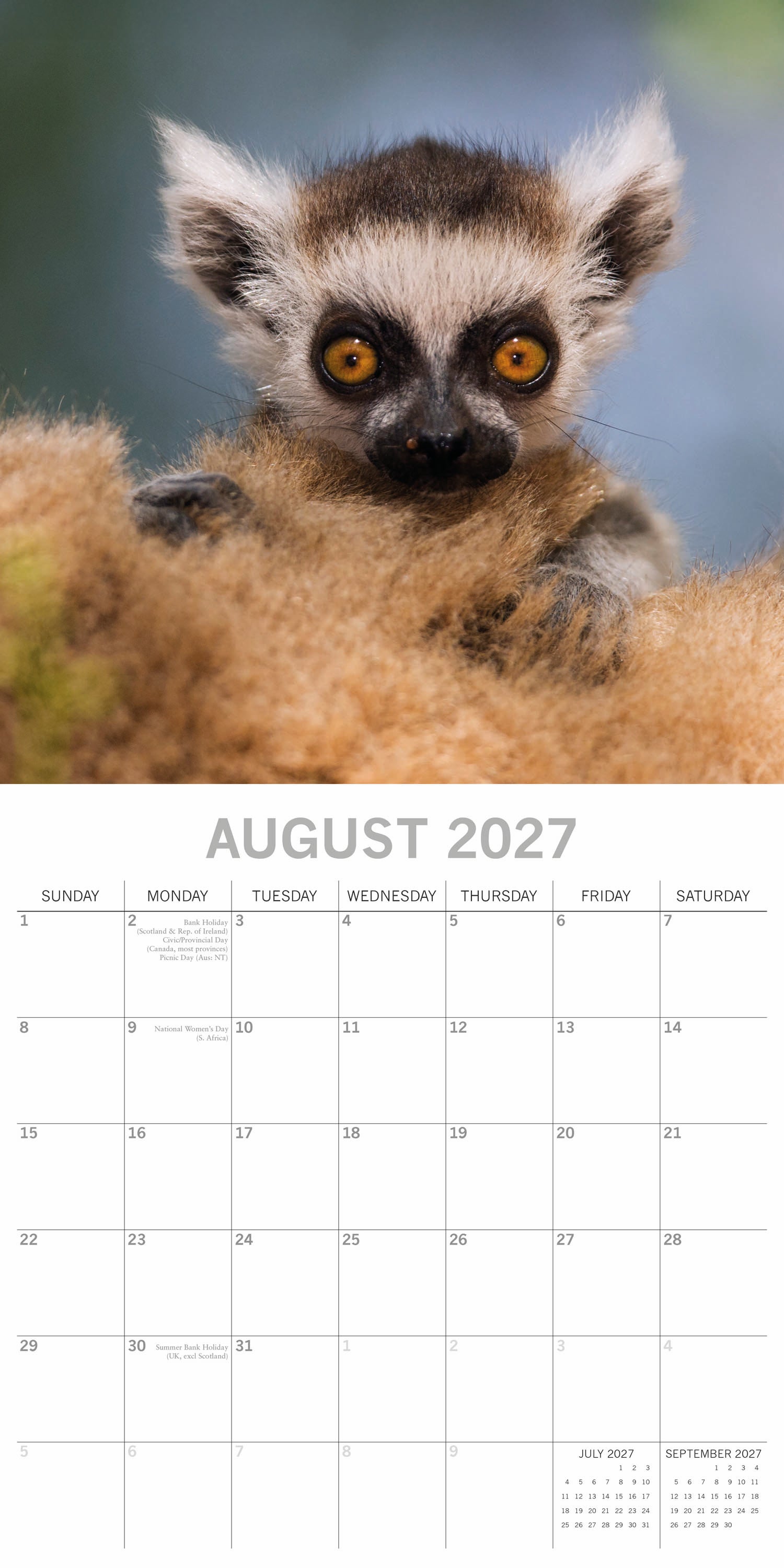 Animals_Baby_Animals_2027_Aug.jpg
