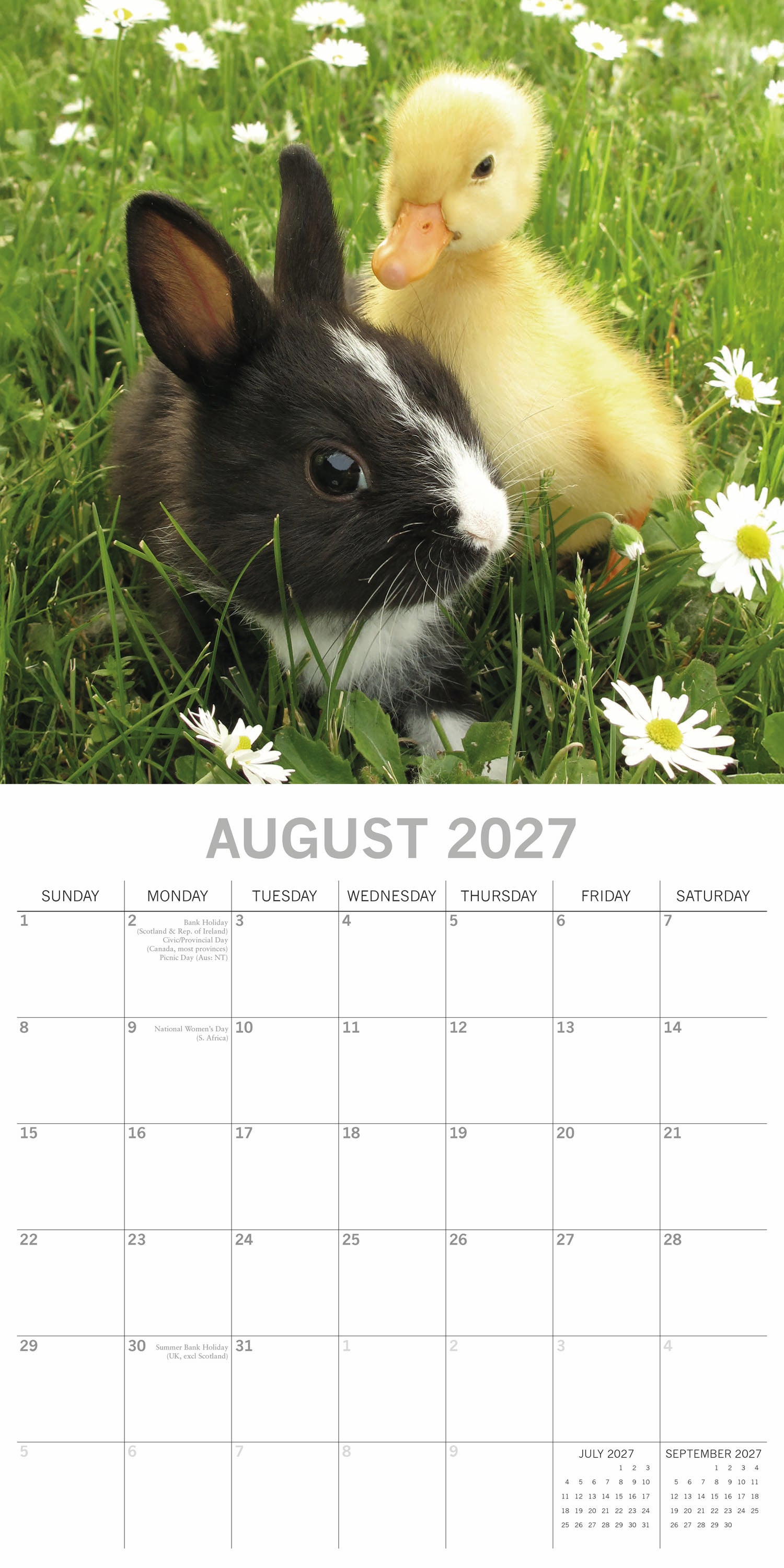 Animals_Baby_Farm_Animals_2027_Aug.jpg