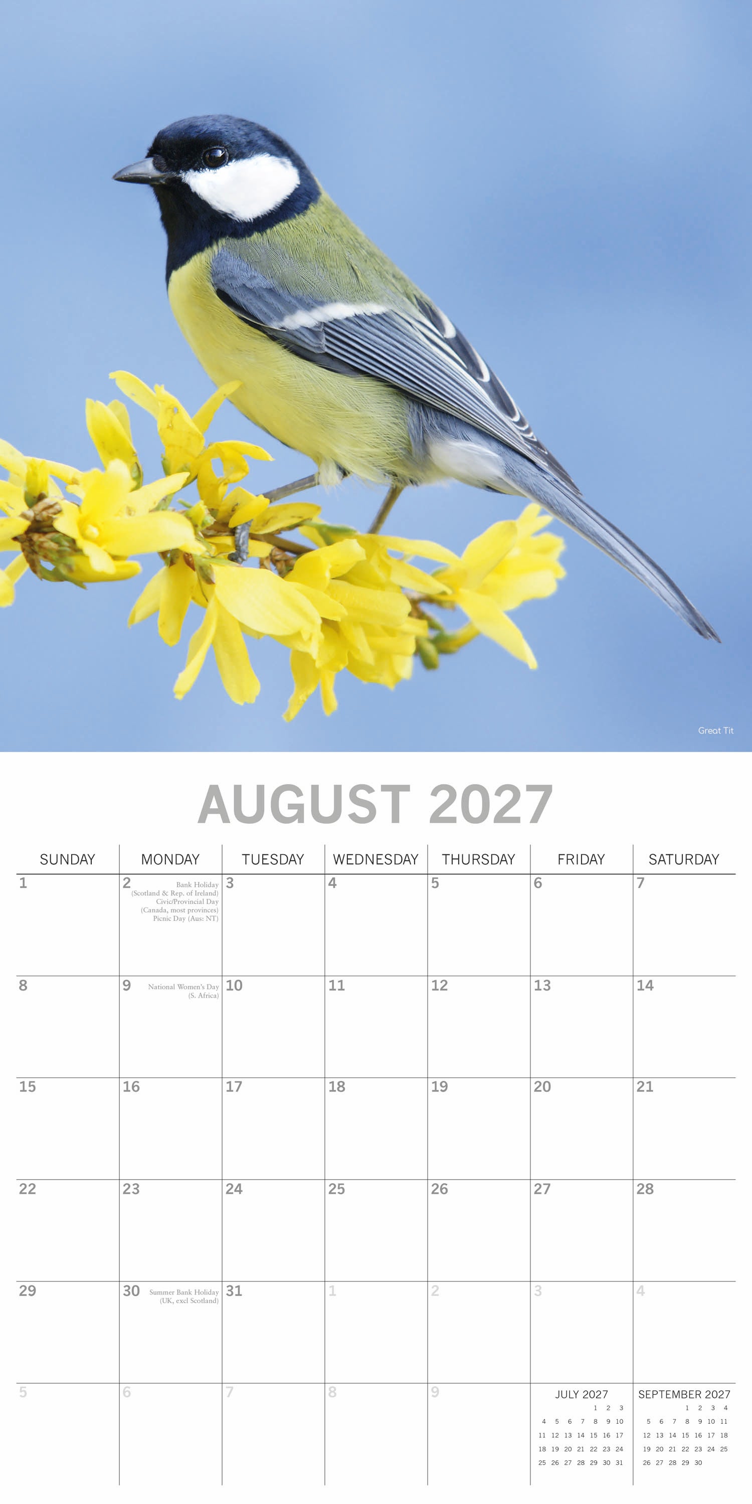 Animals_Birds_2027_Aug.jpg
