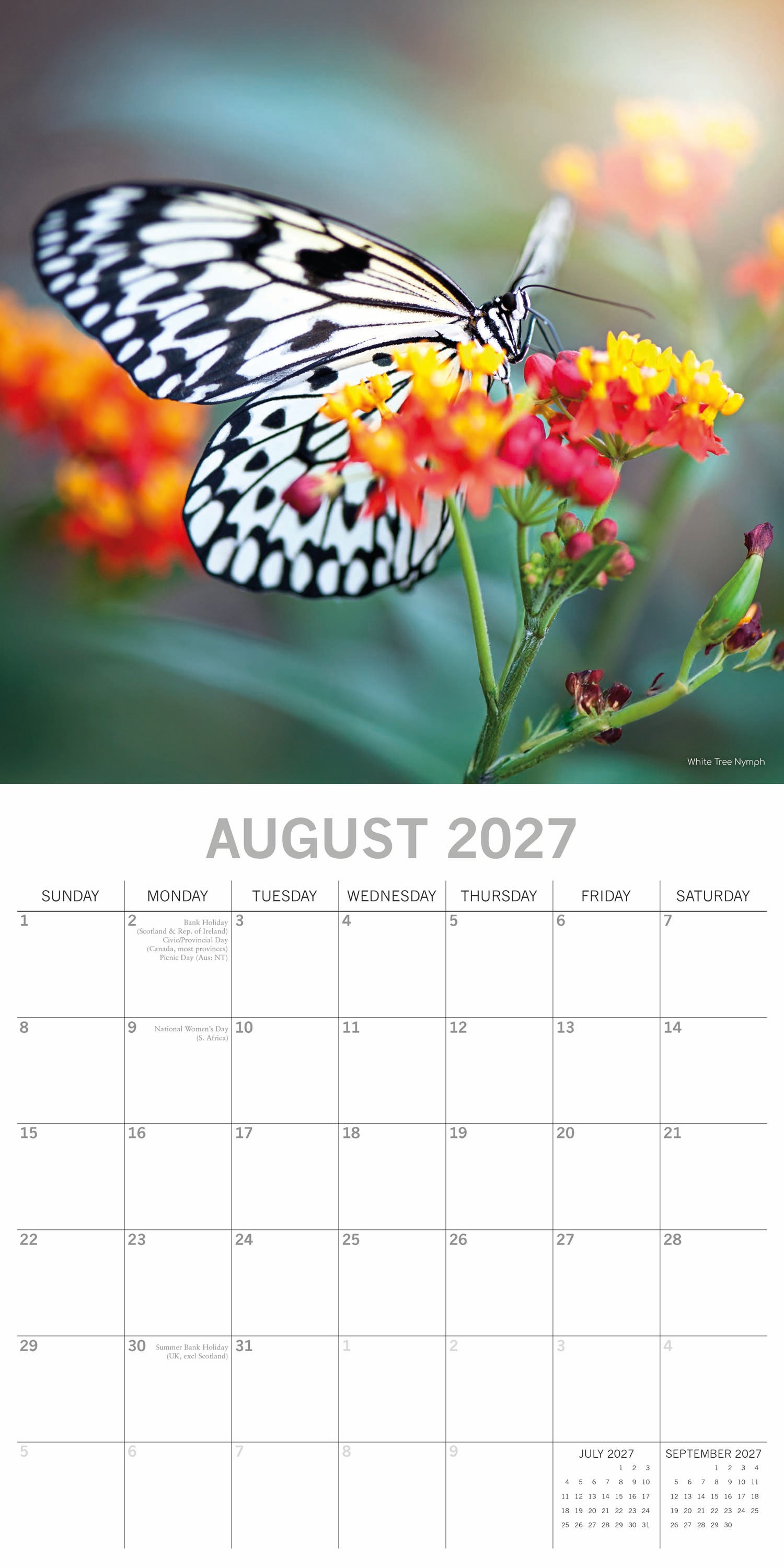 Animals_Butterflies_2027_Aug.jpg