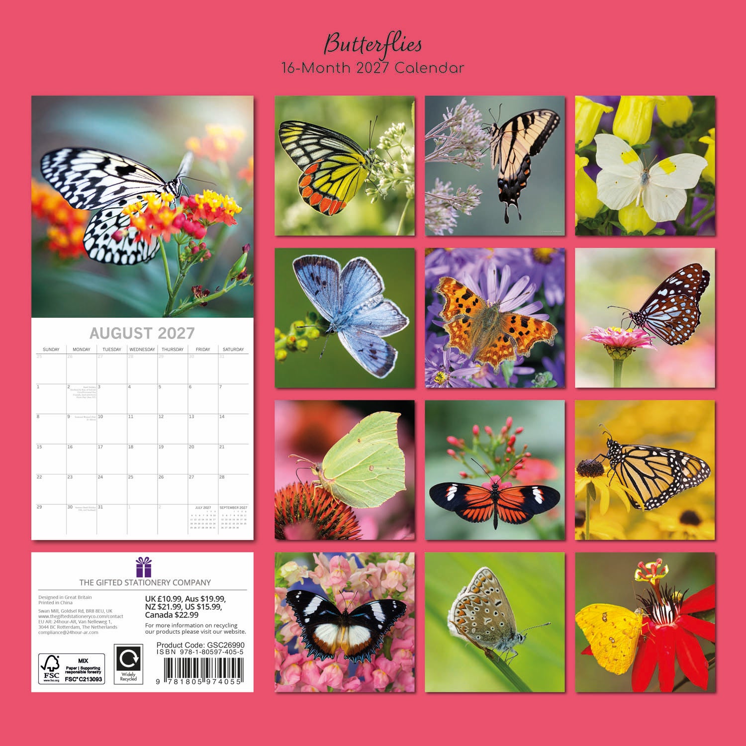 Animals_Butterflies_2027_Back.jpg