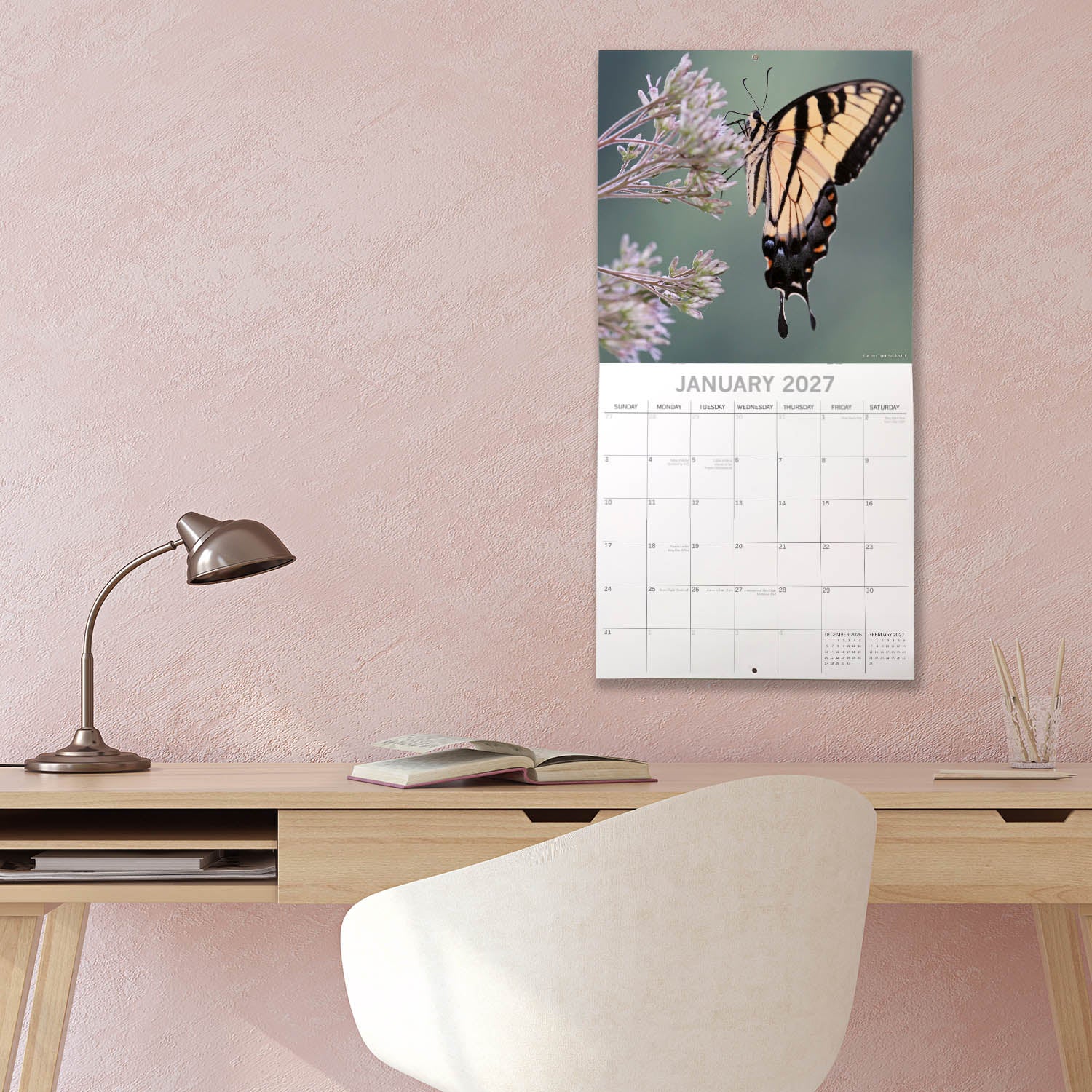 Animals_Butterflies_2027_Jan_LS.jpg