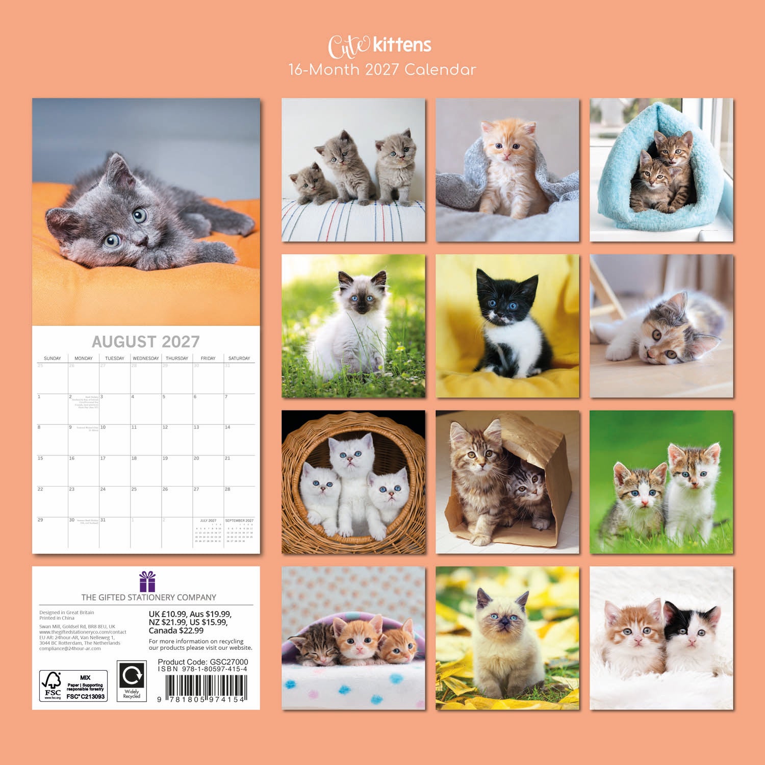 Animals_Cute_Kittens_2027_Back.jpg