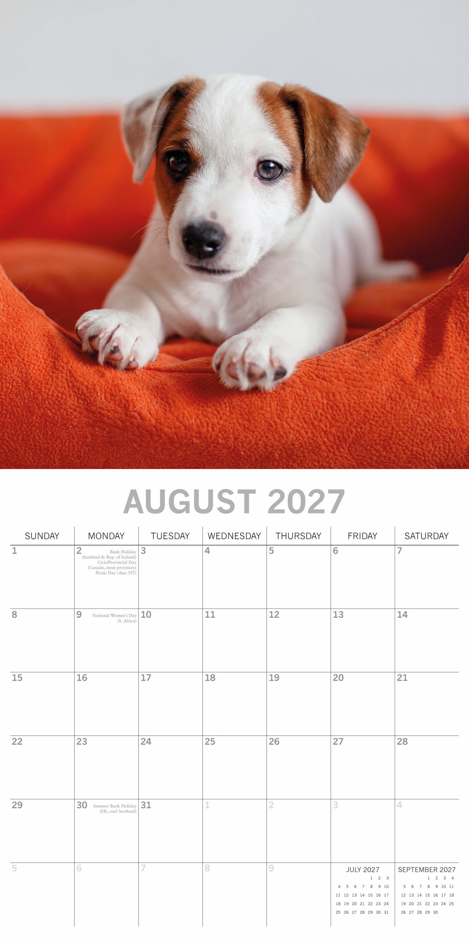 Animals_Cute_Puppies_2027_Aug.jpg