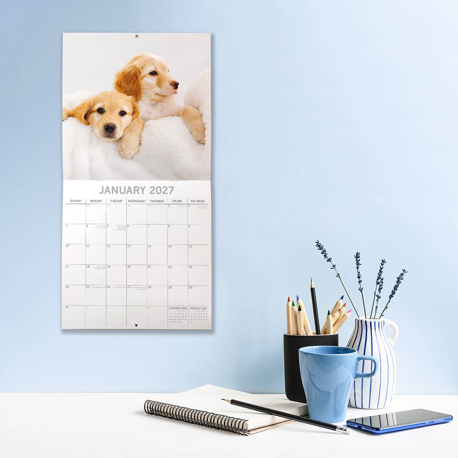 Animals_Cute_Puppies_2027_Jan_LS.jpg