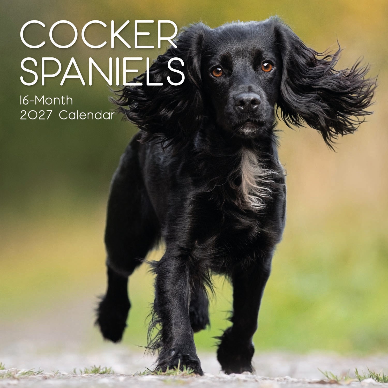 Animals_Dogs_Cocker_Spaniels_2027_Cover.jpg