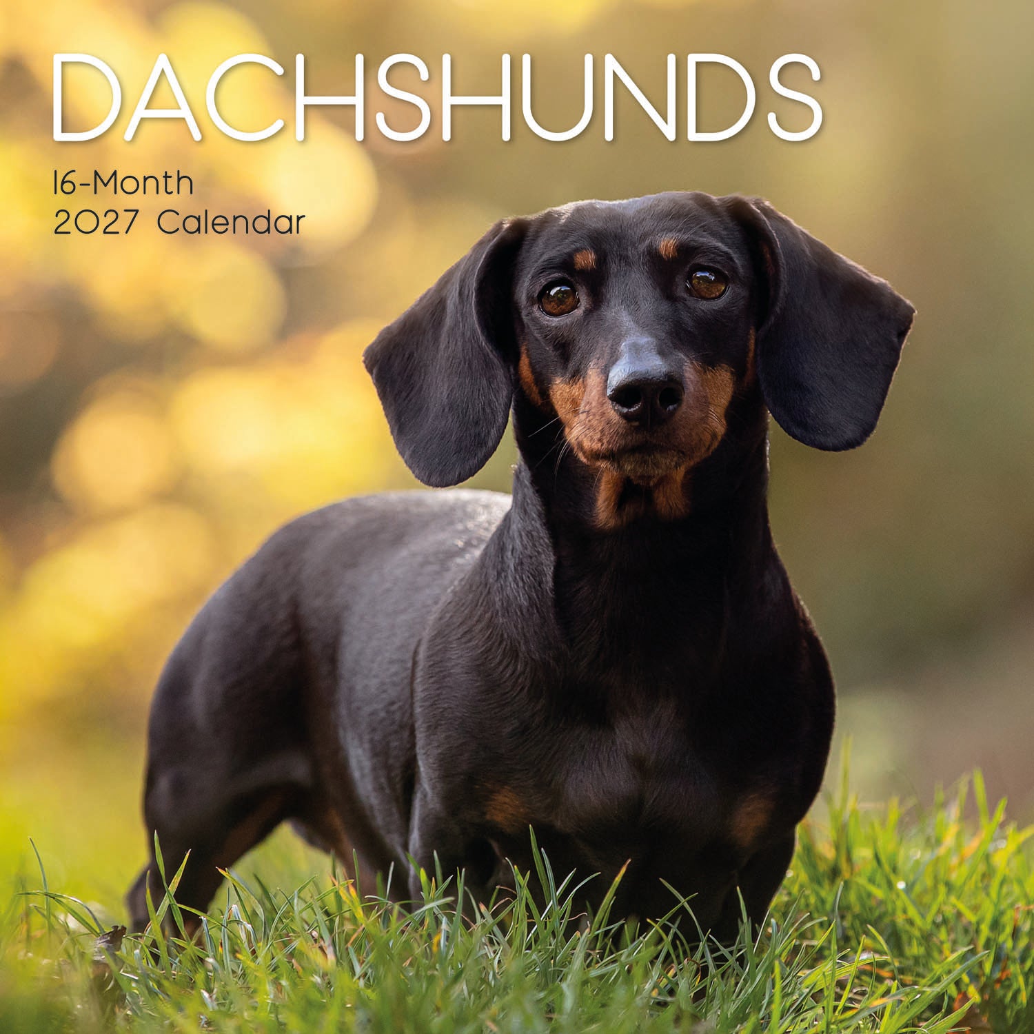 Animals_Dogs_Dachshunds_2027_Cover.jpg