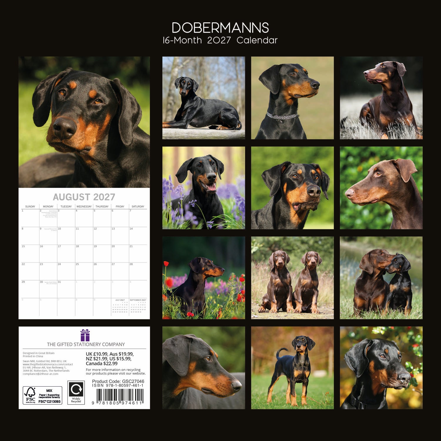 Animals_Dogs_Dobermanns_2027_Back.jpg
