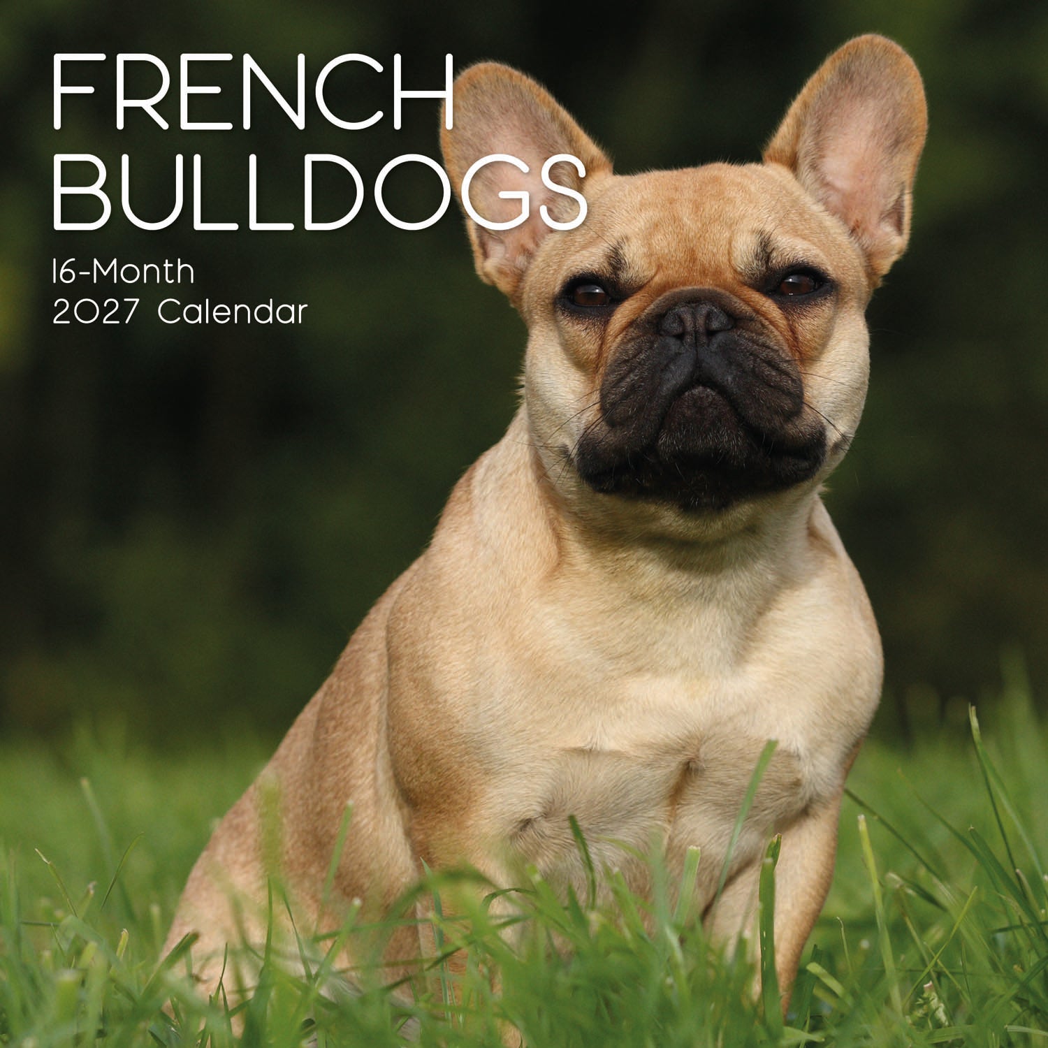 Animals_Dogs_French_Bulldogs_2027_Cover.jpg