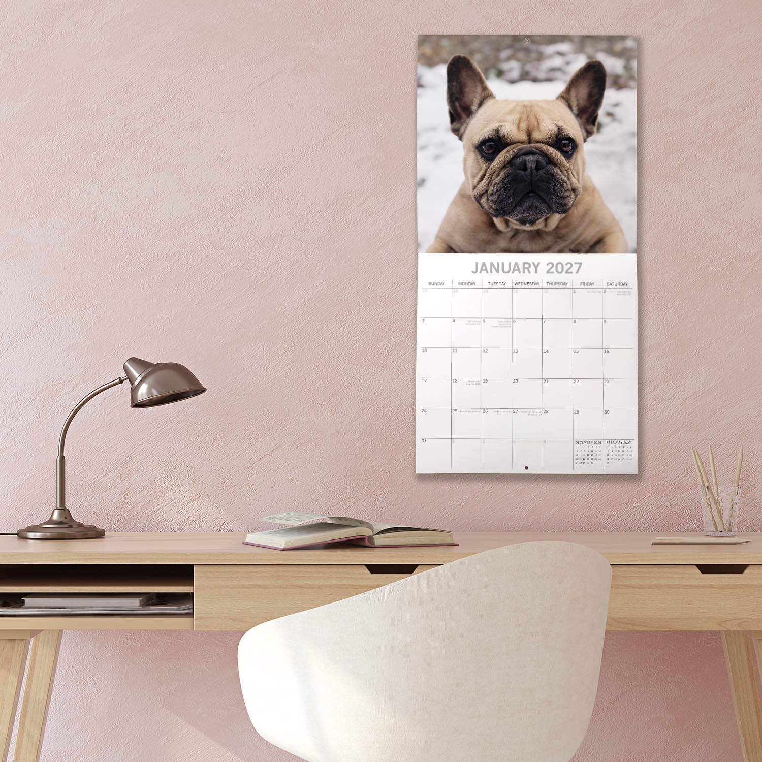 Animals_Dogs_French_Bulldogs_2027_Jan_LS.jpg