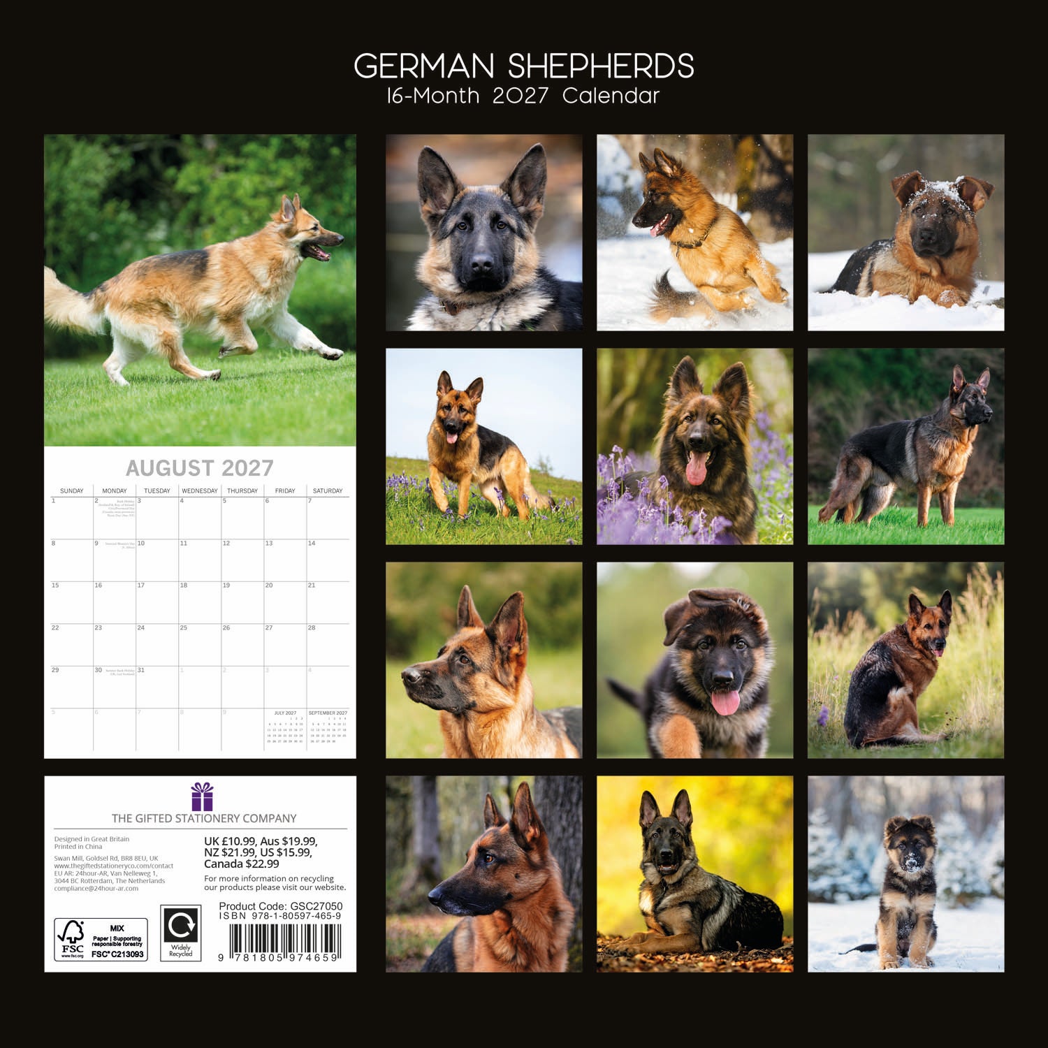 Animals_Dogs_German_Shepherds_2027_Back.jpg