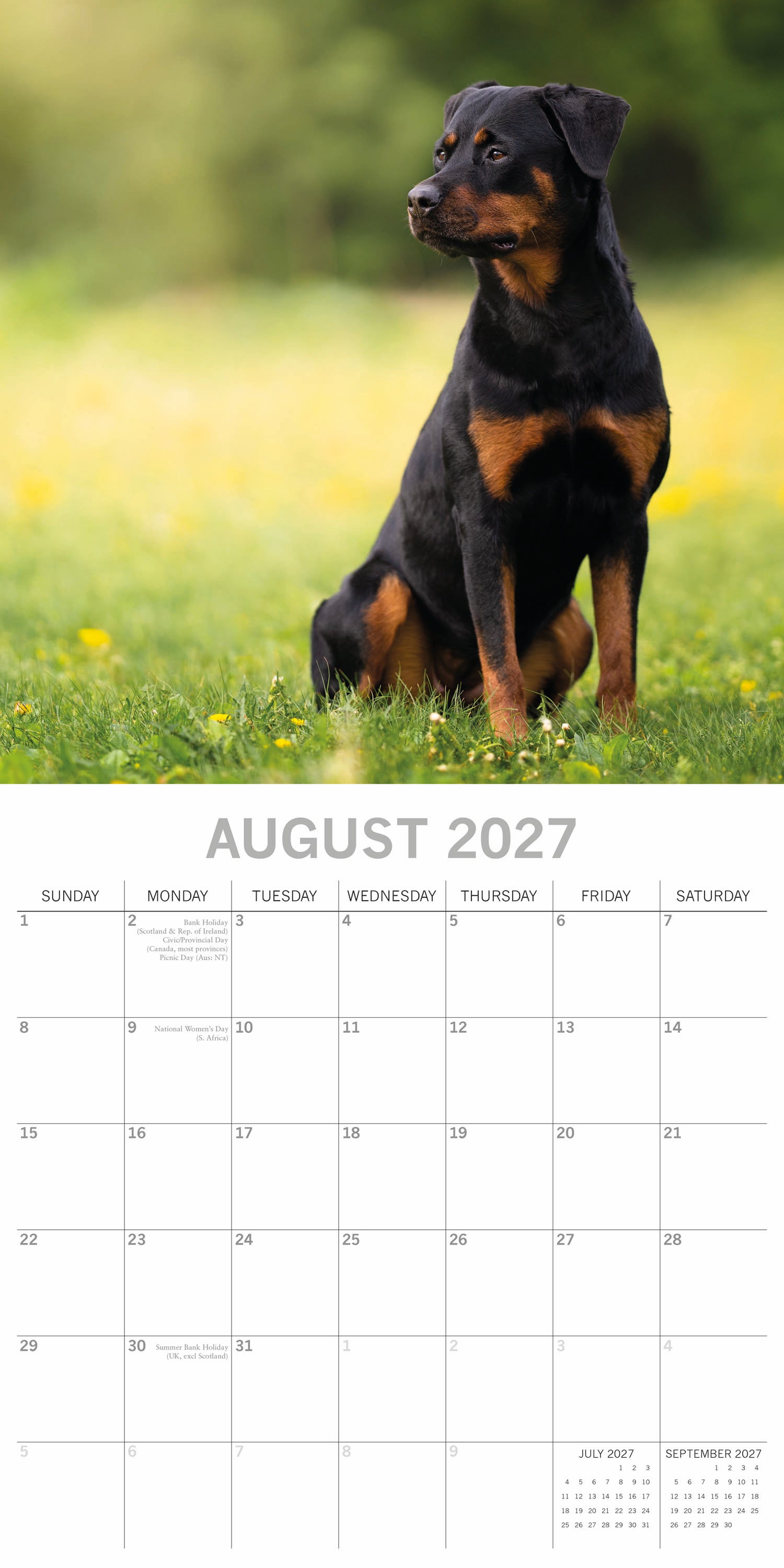 Animals_Dogs_Rottweilers_2027_Aug.jpg