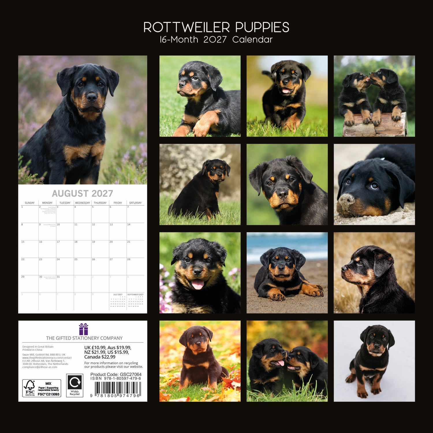 Animals_Dogs_Rottweilers_2027_Back.jpg