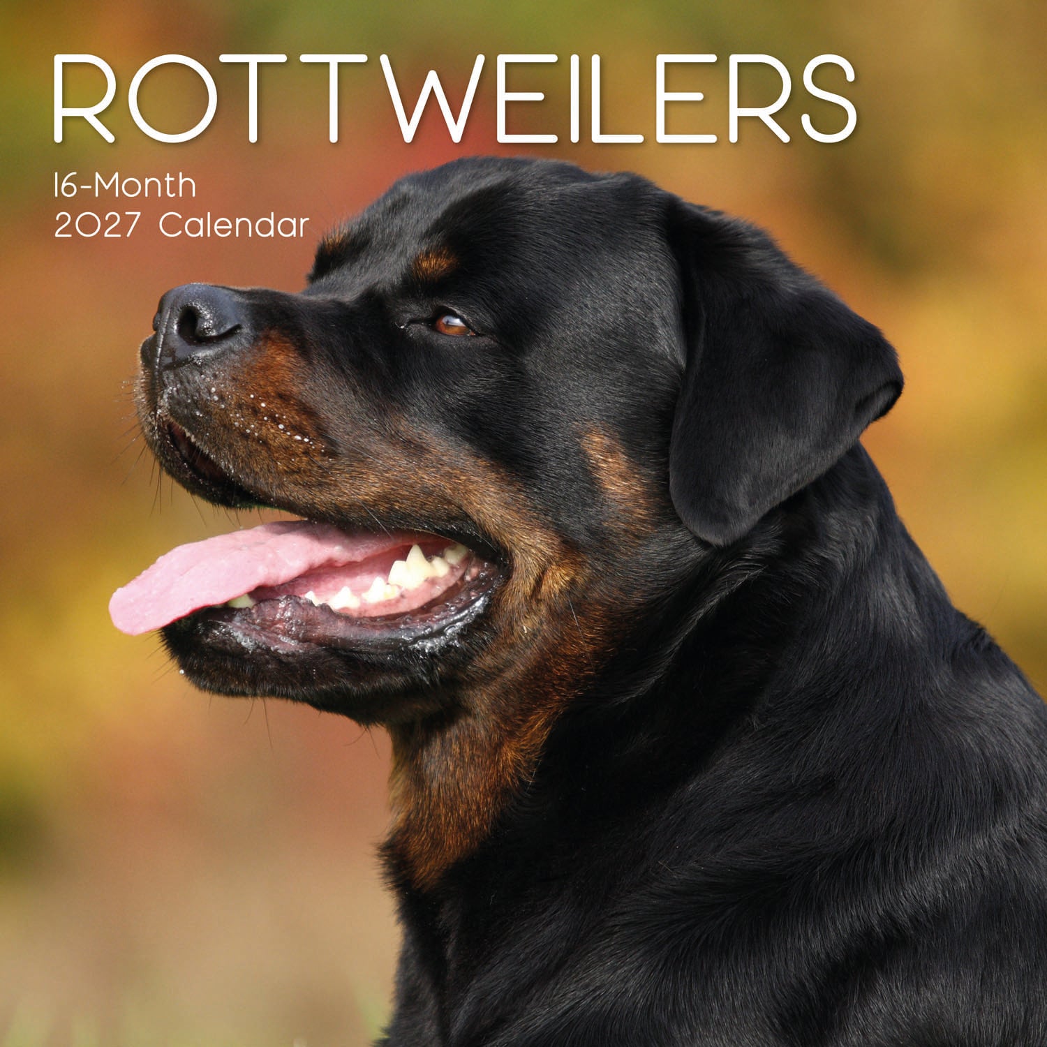 Animals_Dogs_Rottweilers_2027_Cover.jpg
