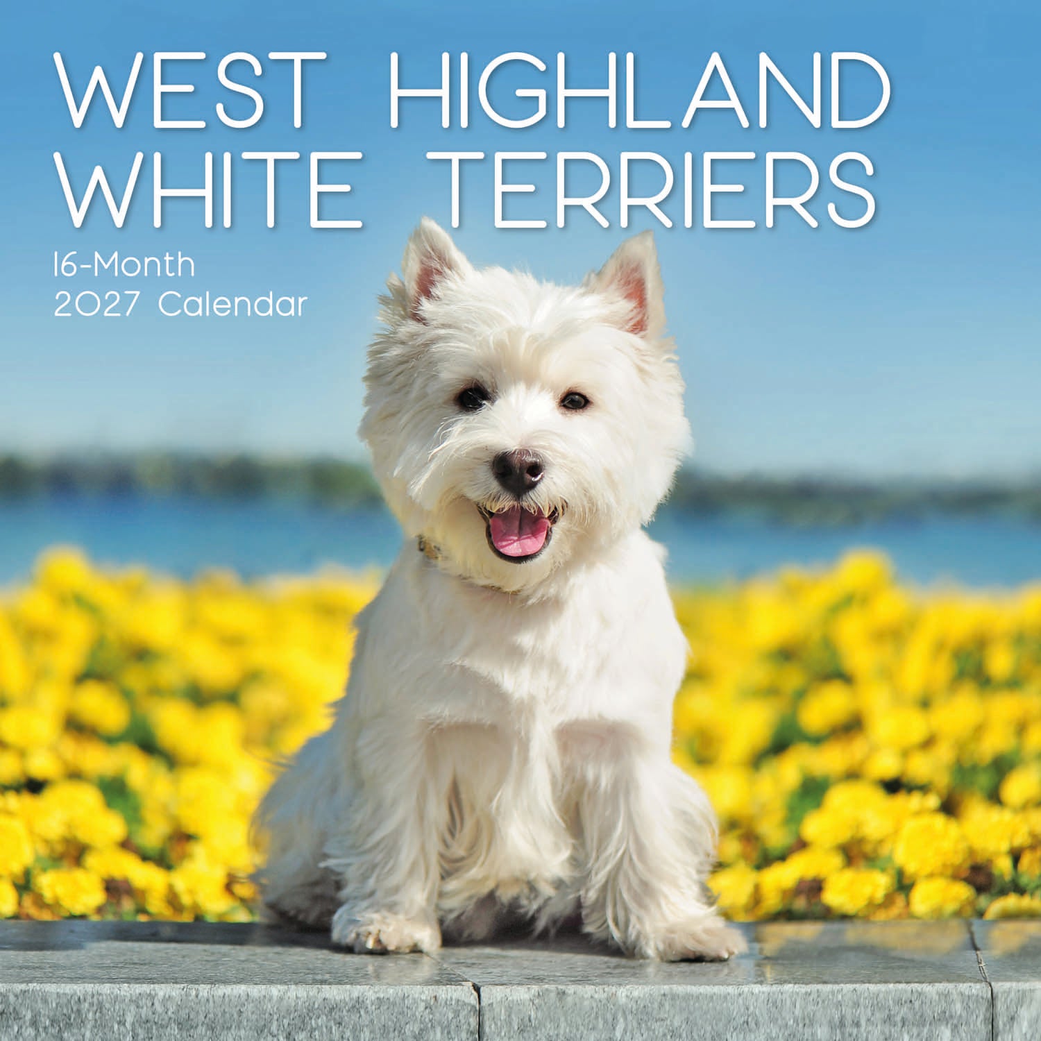 Animals_Dogs_West_Highland_White_Terriers_2027_Cover.jpg