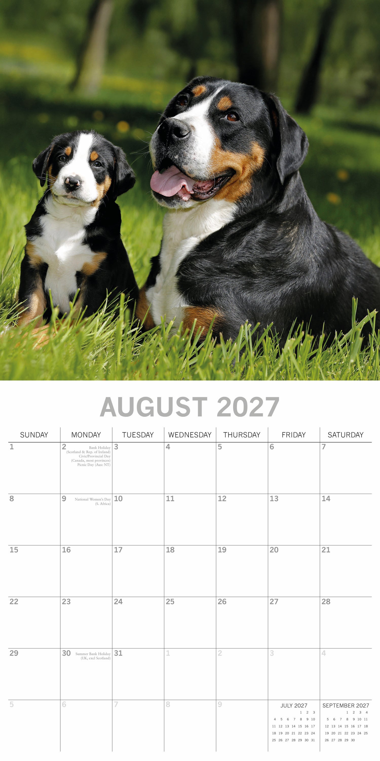 Animals_Dogs___Puppies_2027_Aug.jpg