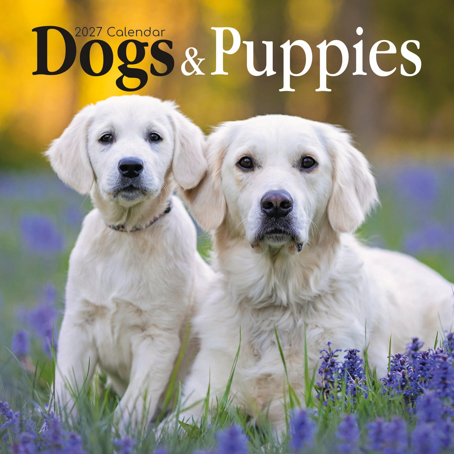 Animals_Dogs___Puppies_2027_Cover.jpg
