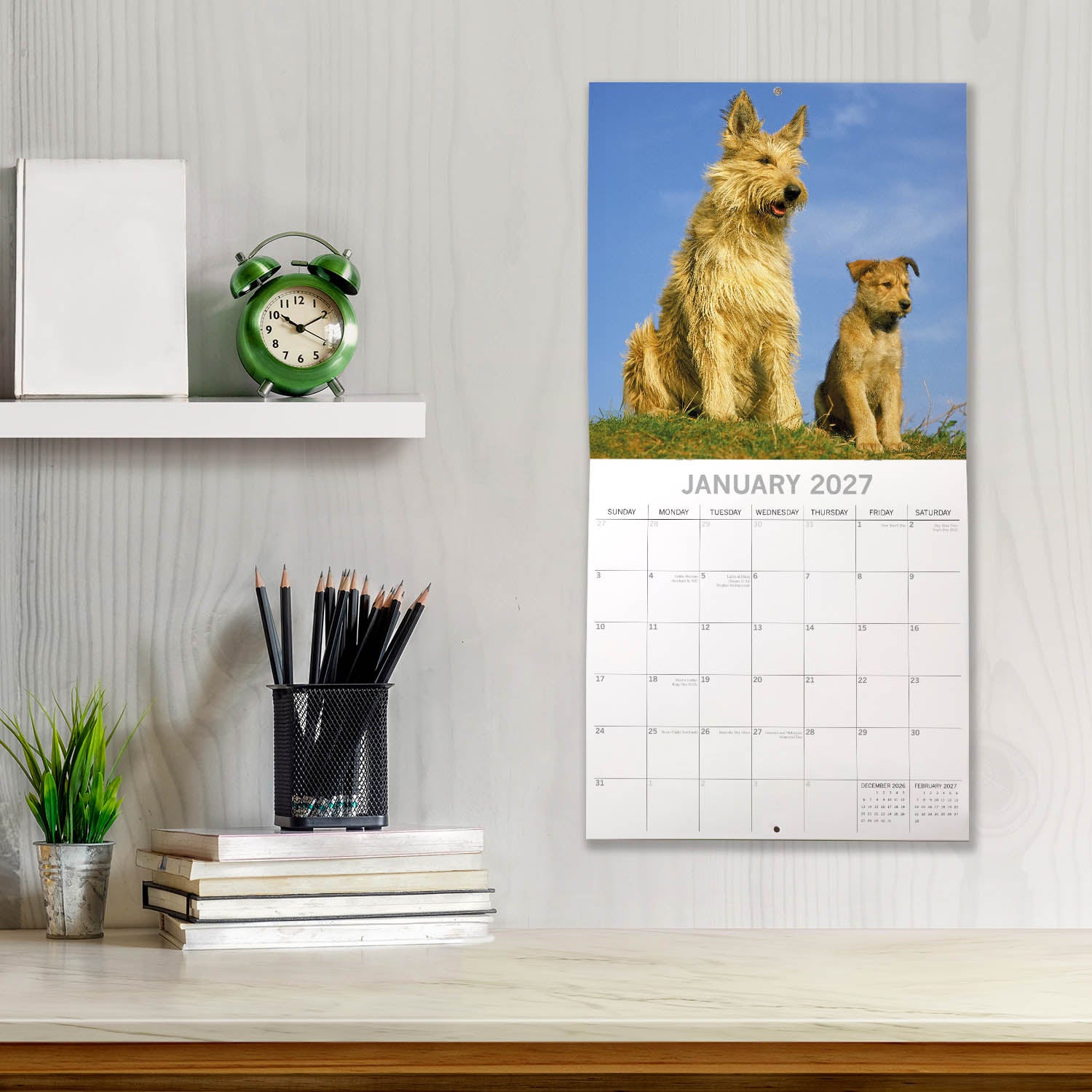 Animals_Dogs___Puppies_2027_Jan_LS.jpg
