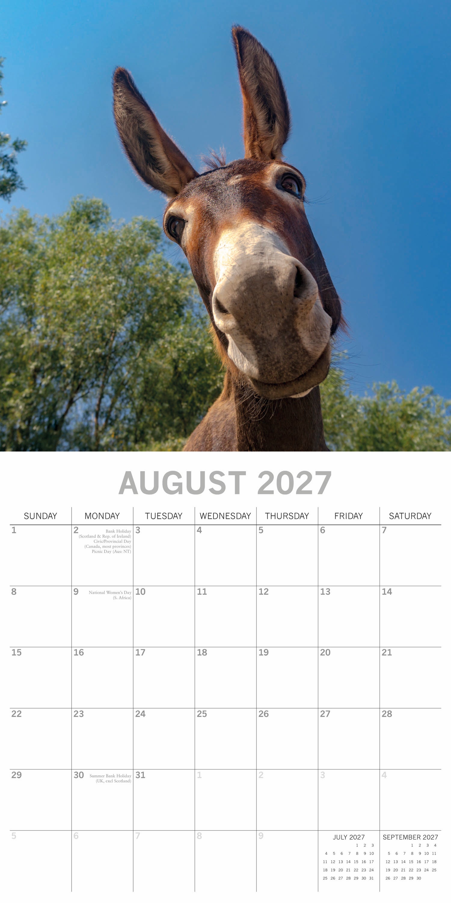 Animals_Donkeys_2027_Aug.jpg