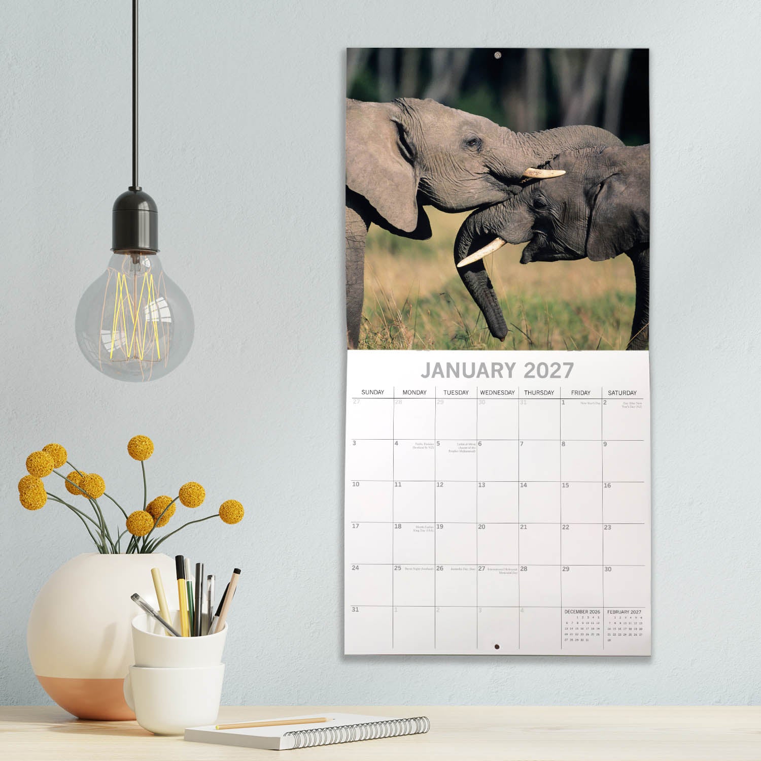 Animals_Elephants_2027_Jan_LS.jpg