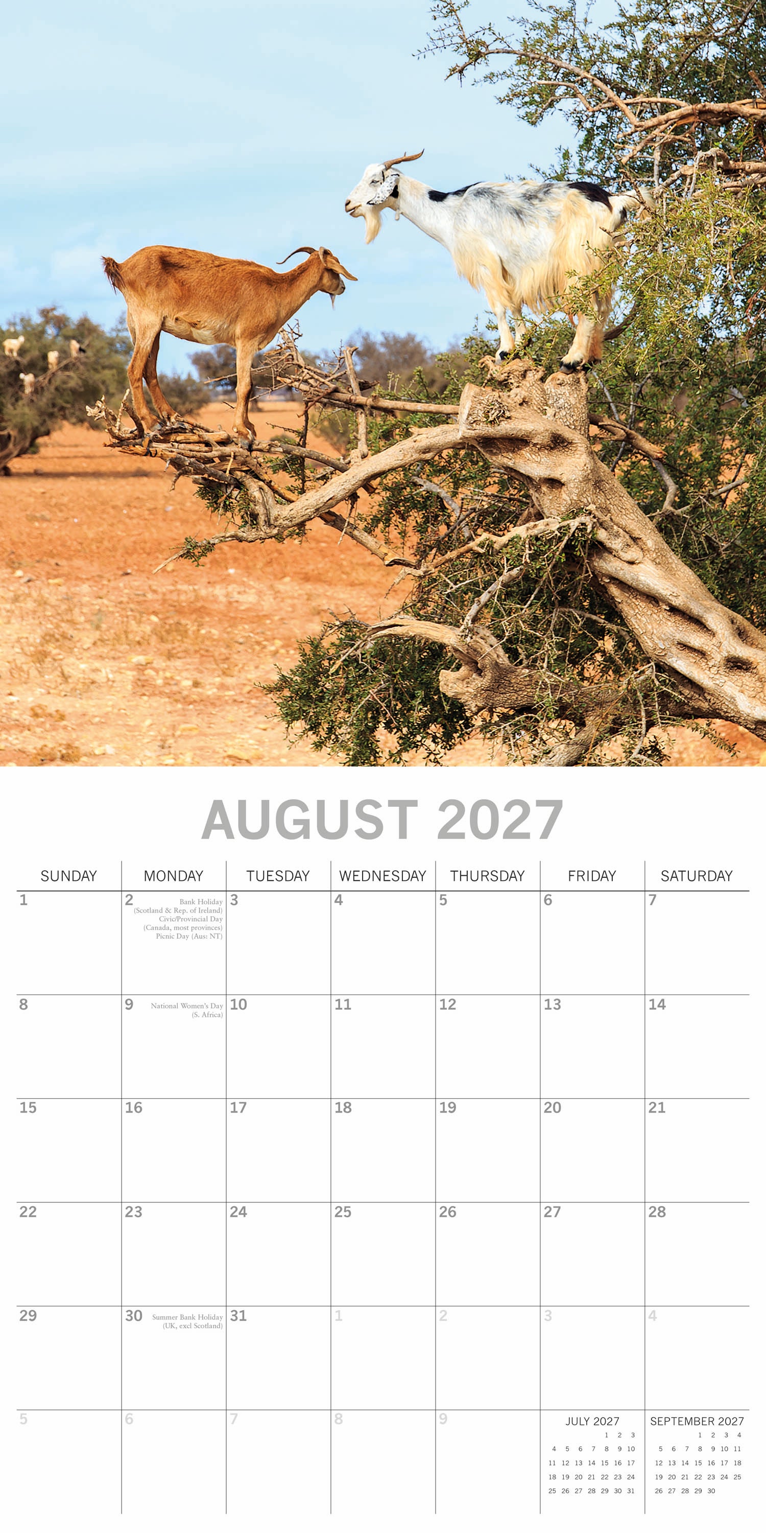 Animals_Goats_in_Trees_2027_Aug.jpg