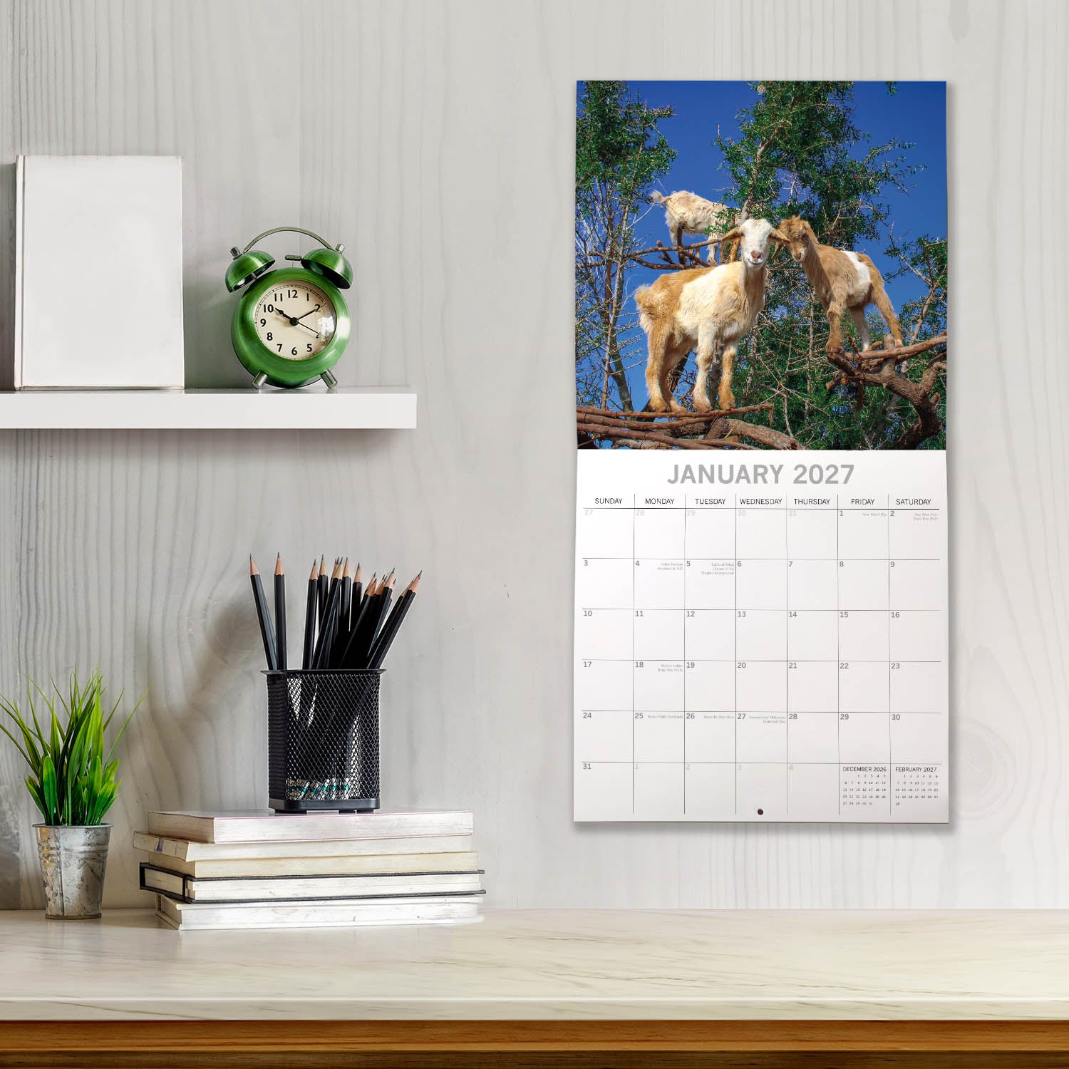 Animals_Goats_in_Trees_2027_Jan_LS.jpg