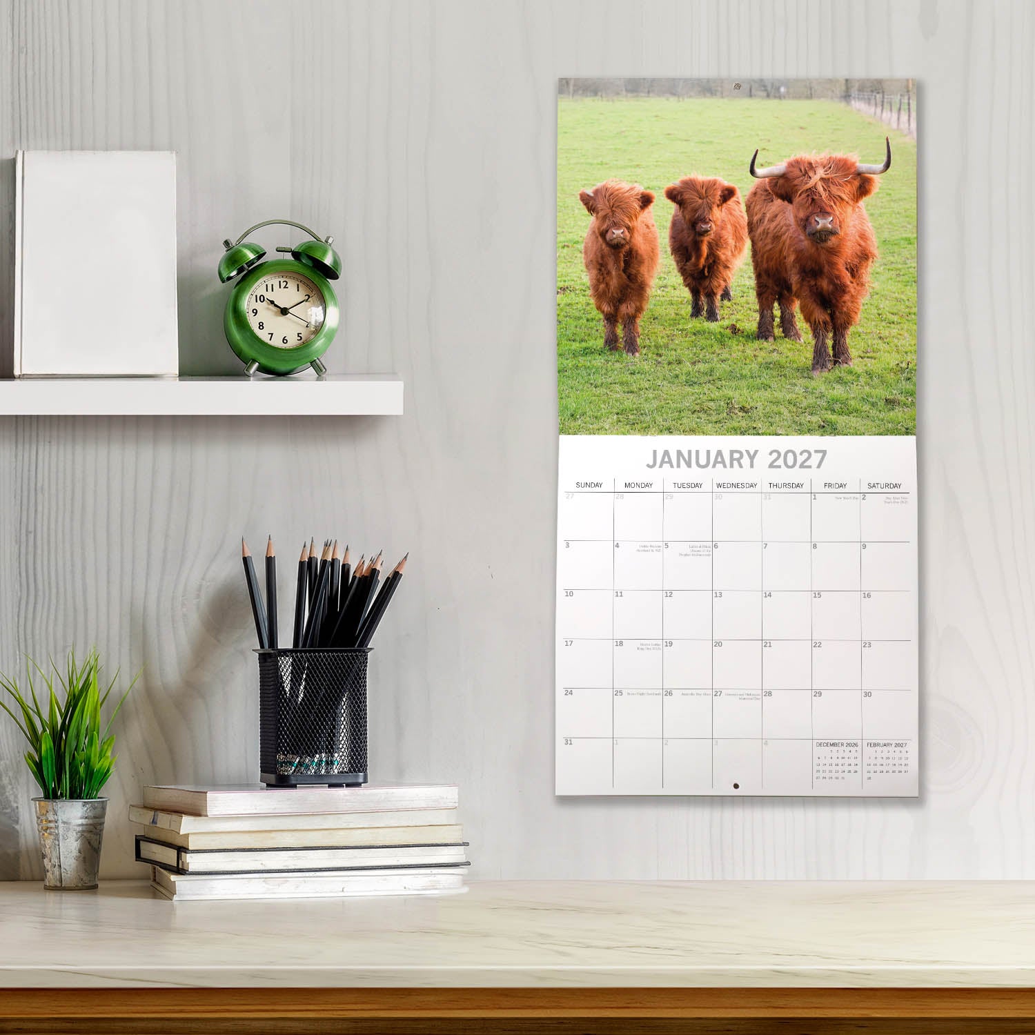 Animals_Highland_Cows_2027_Jan_LS.jpg