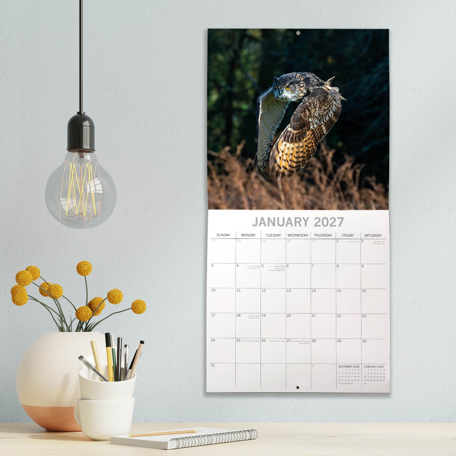 Animals_Owls_2027_Jan_LS.jpg