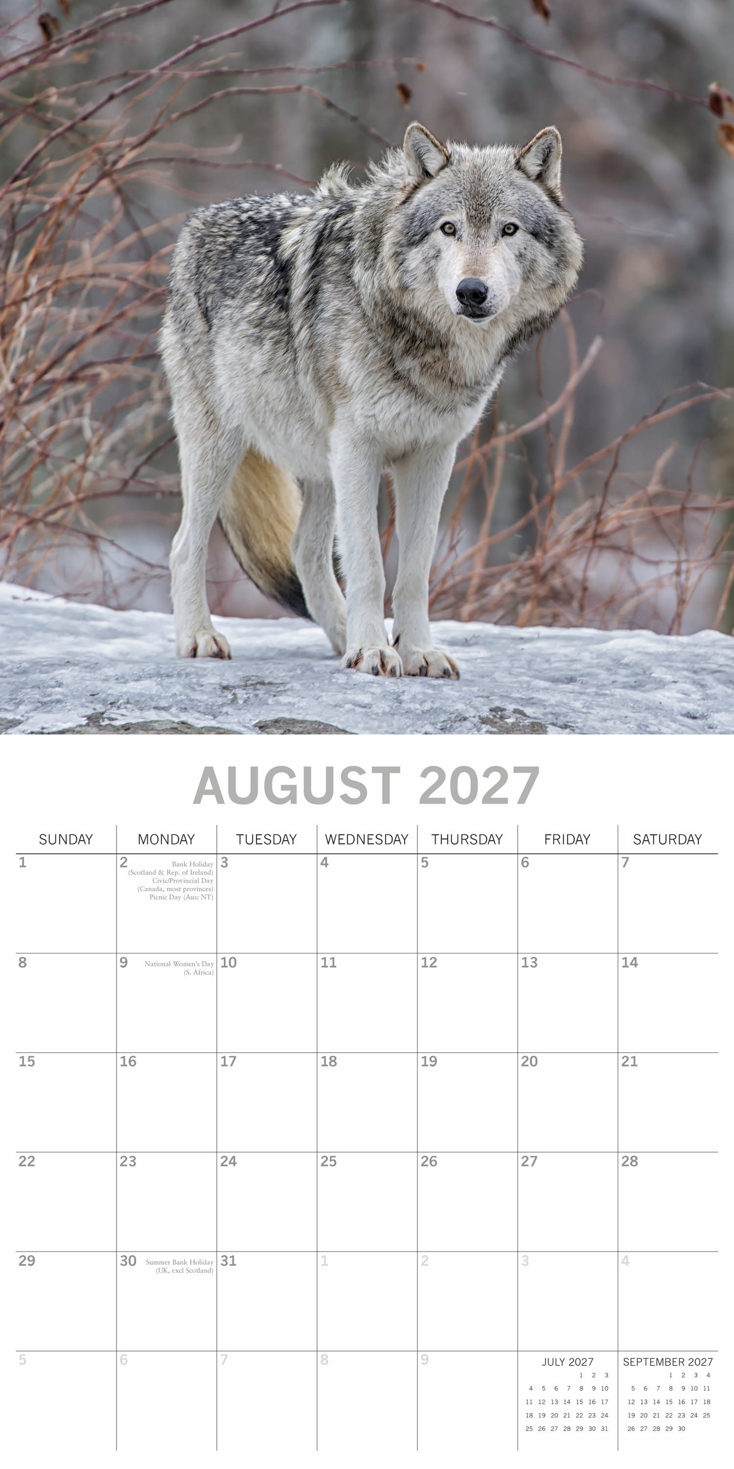 Animals_Wolves_2027_Aug.jpg