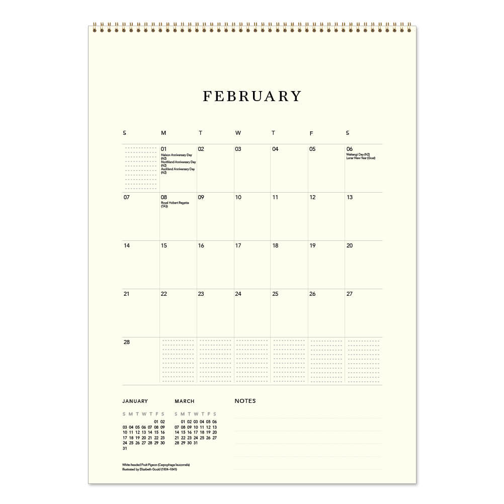 2027 Australian Birds John Gould - Deluxe Wall Calendar