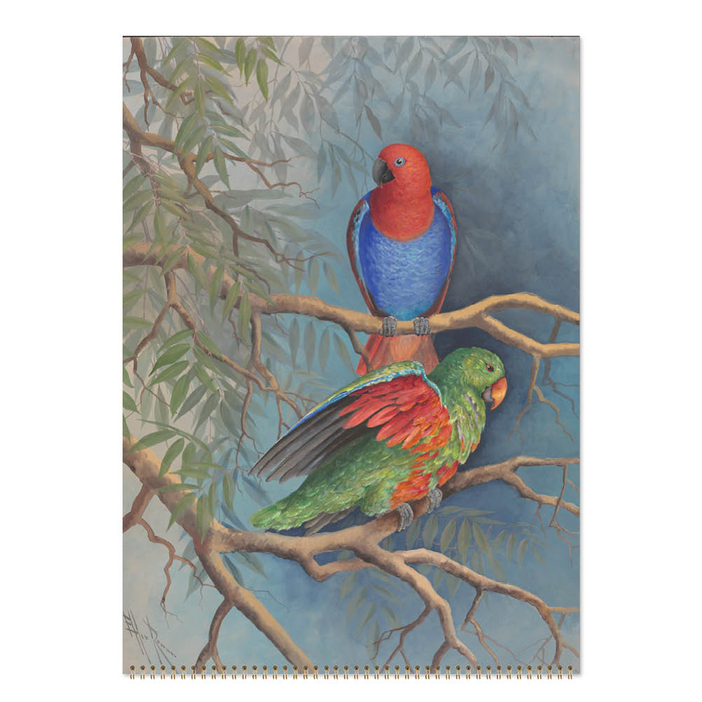 2027 Ellis Rowan Birds - Deluxe Wall Calendar