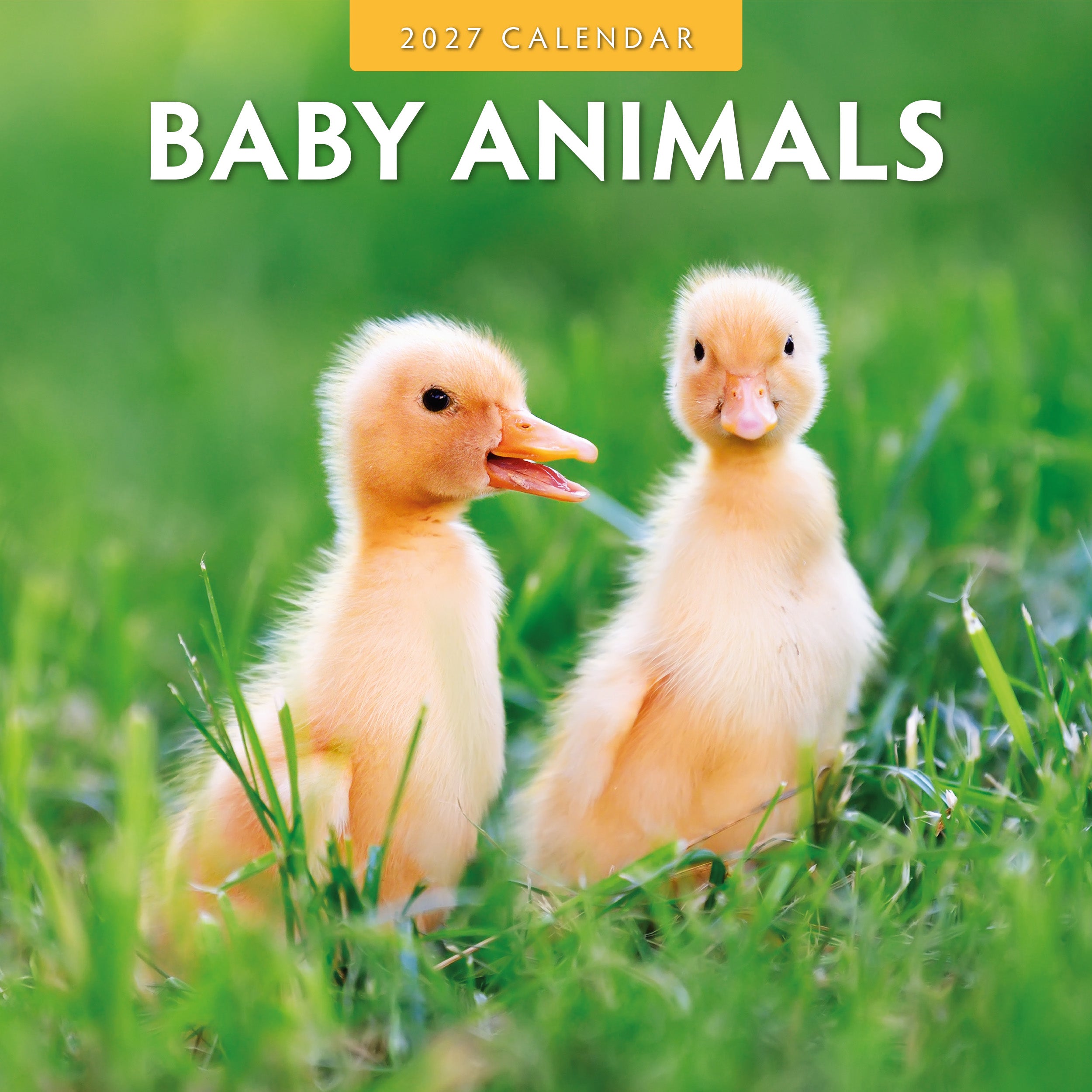 2027 Baby Animals - Square Wall Calendar