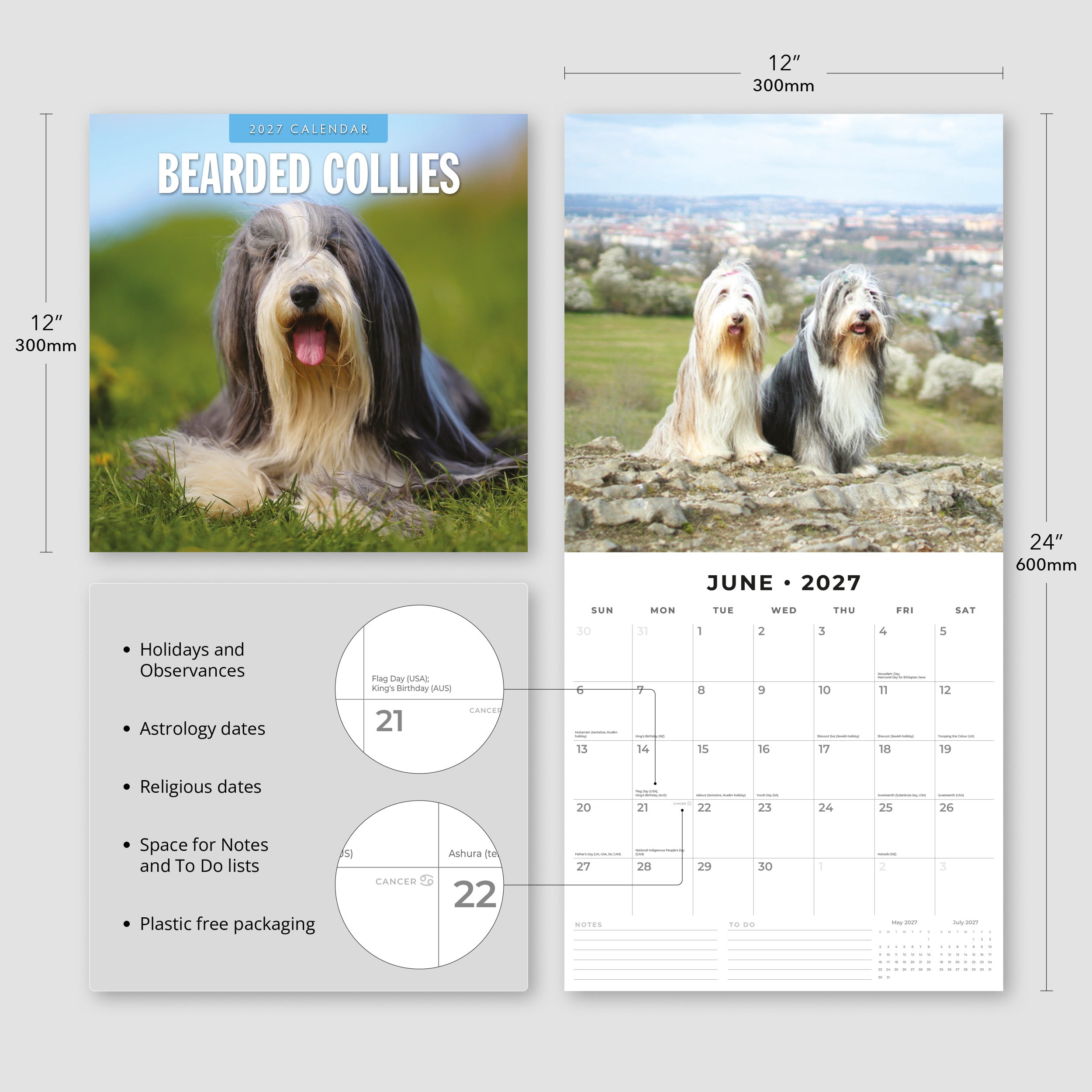 2027 Bearded Collies - Square Wall Calendar