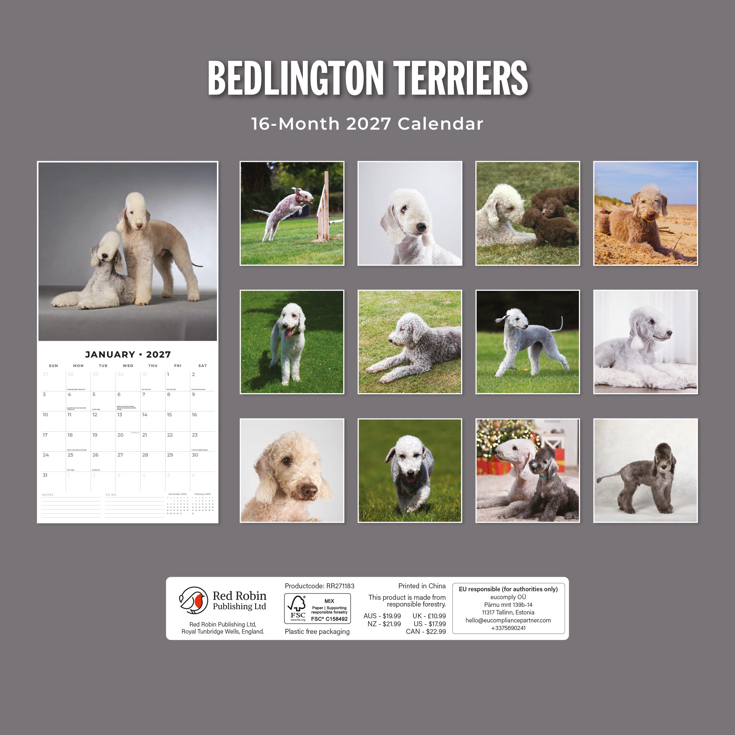 2027 Bedlington Terriers - Square Wall Calendar