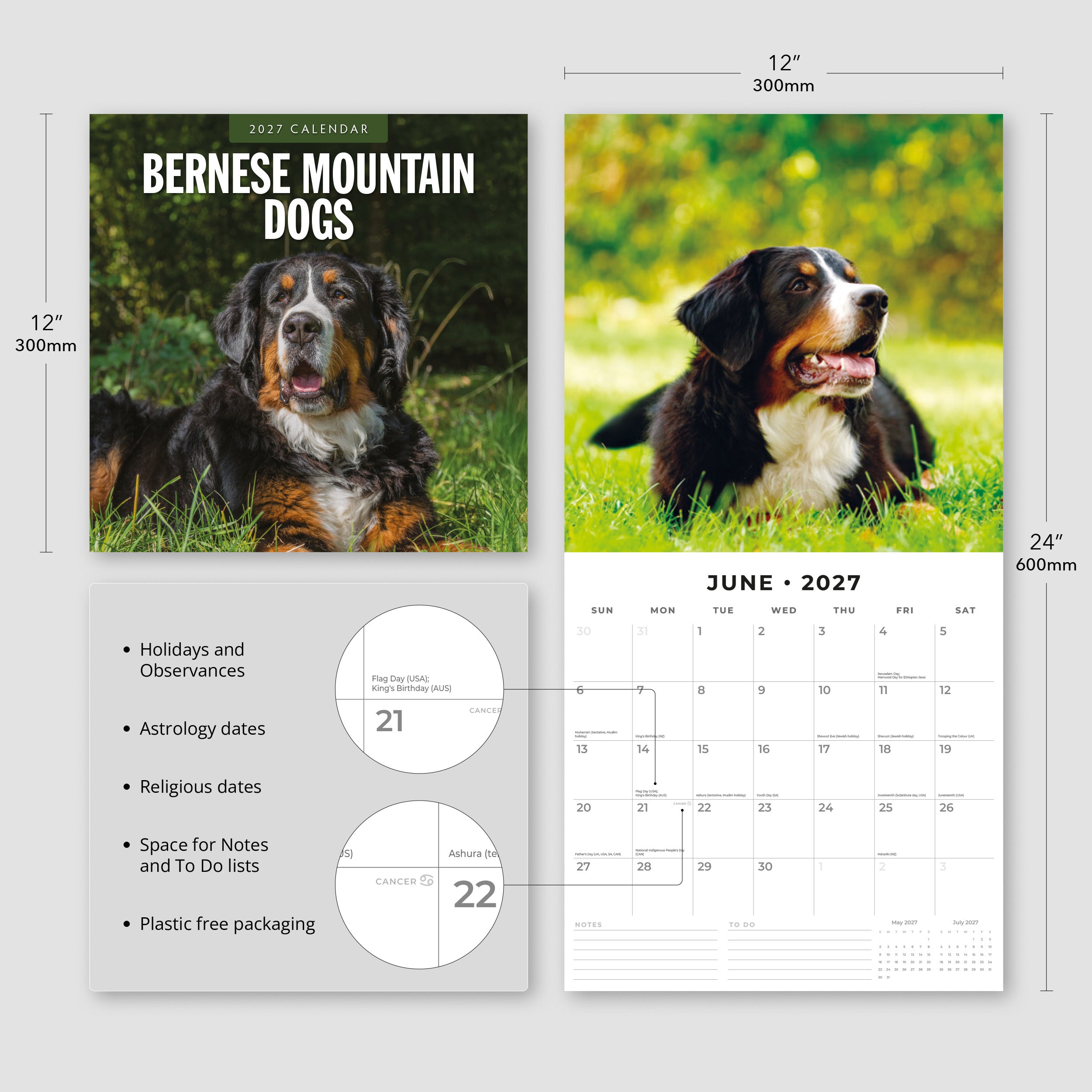 2027 Bernese Mountain Dogs - Square Wall Calendar