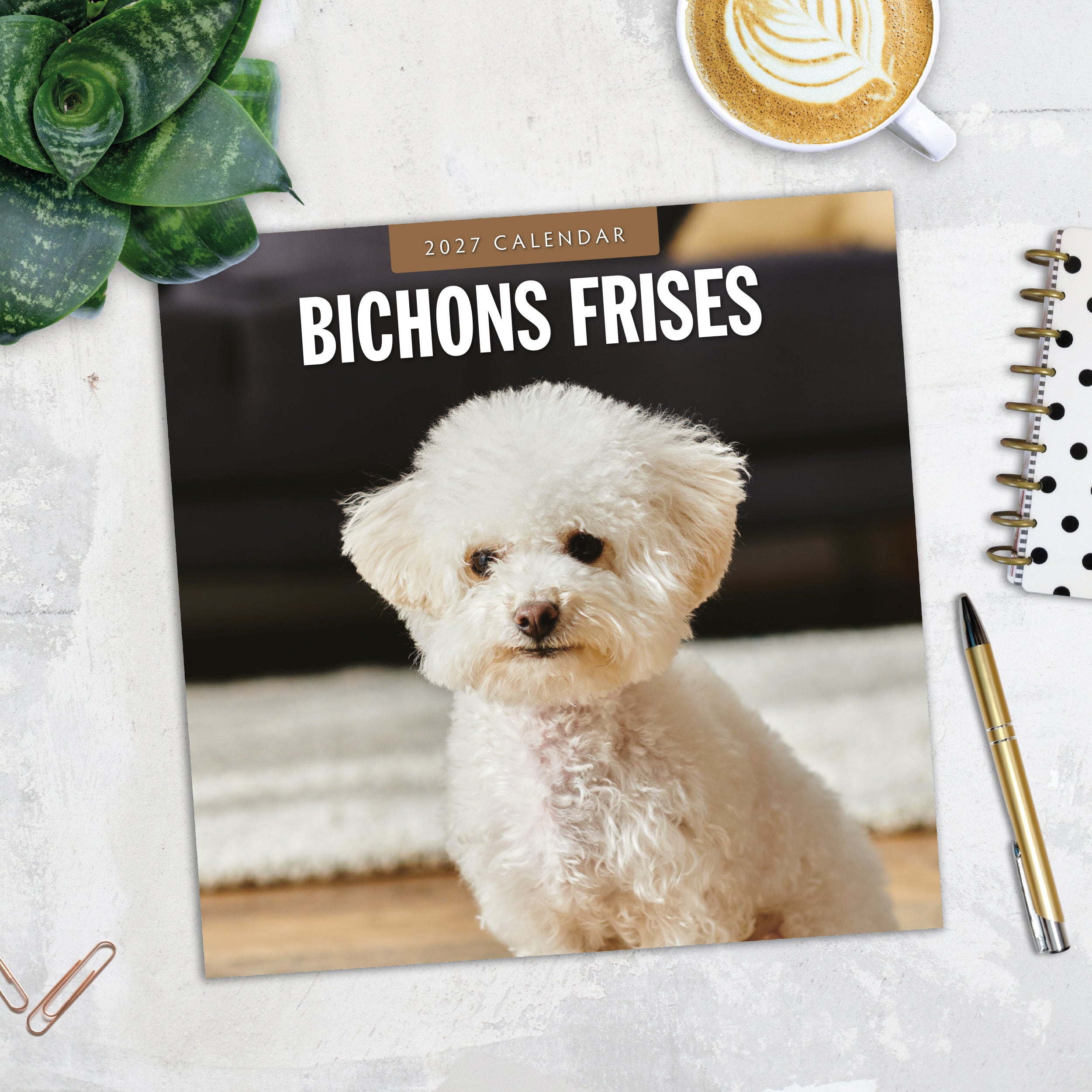 2027 Bichons Frises - Square Wall Calendar
