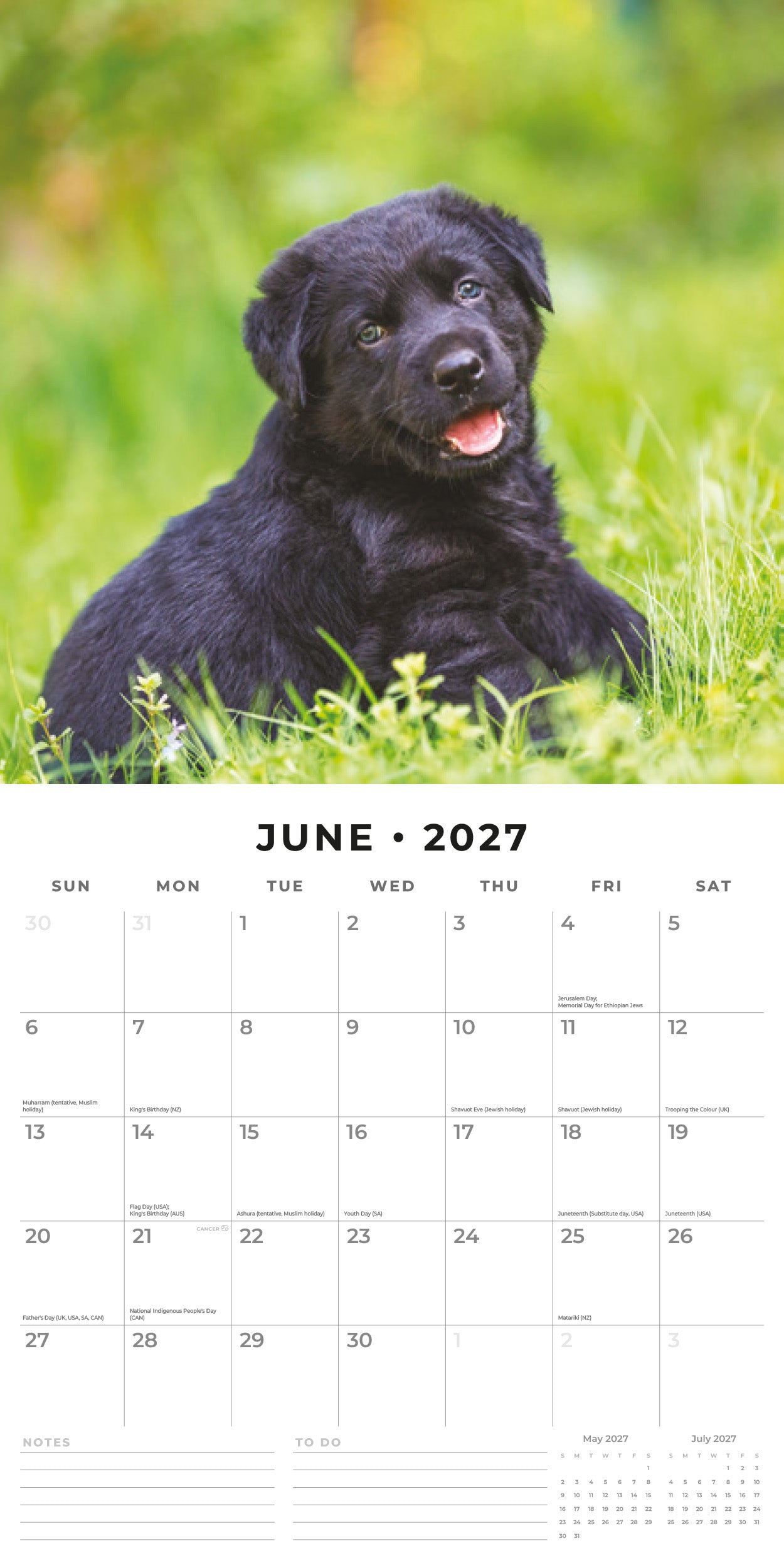2027 Black Labrador Retriever Puppies - Square Wall Calendar
