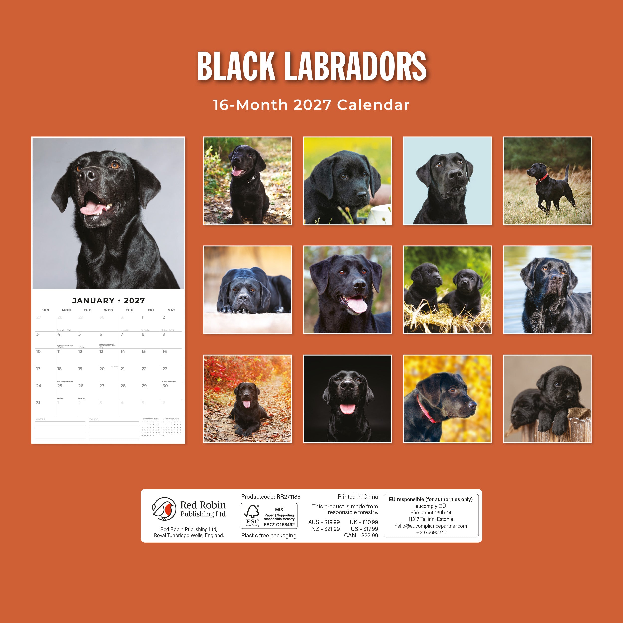 2027 Black Labradors - Square Wall Calendar
