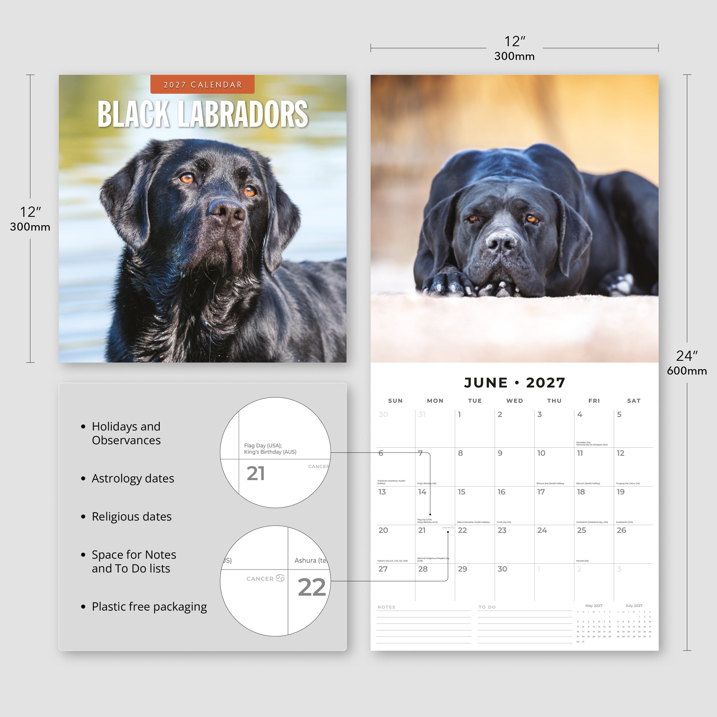 2027 Black Labradors - Square Wall Calendar