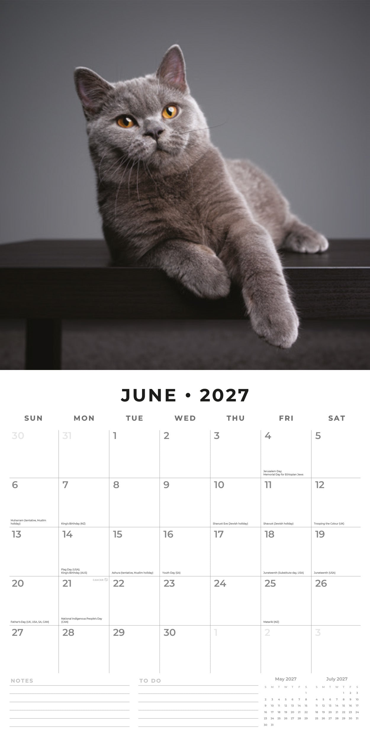 2027 British Shorthair Cats - Square Wall Calendar