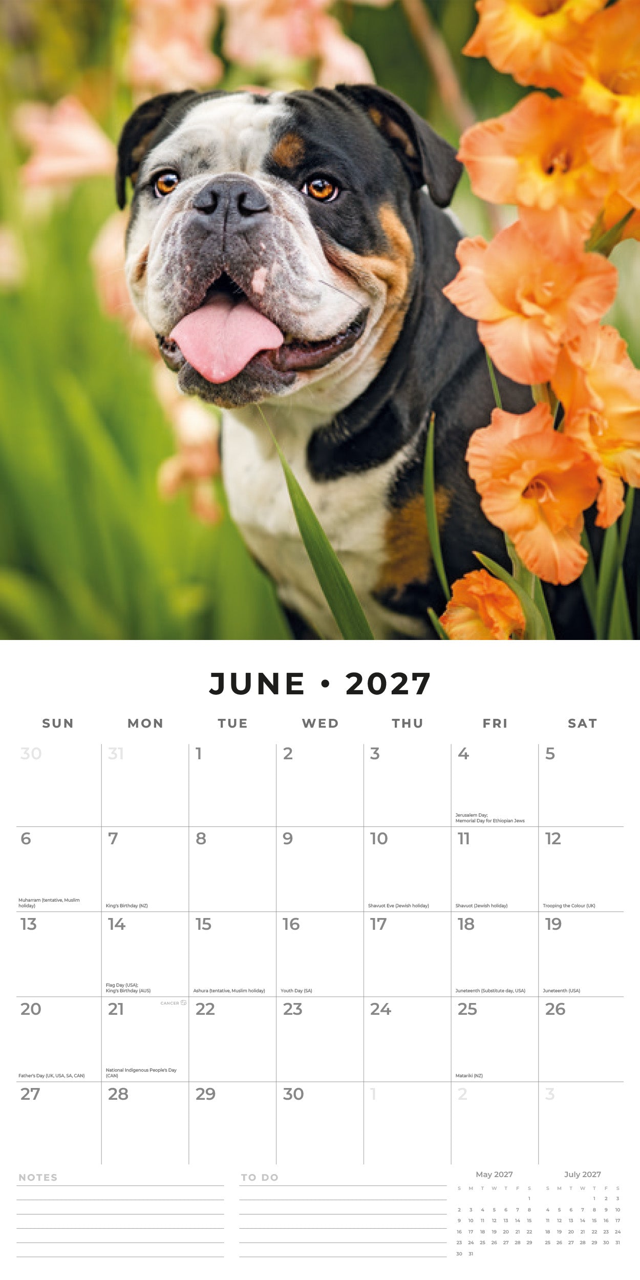 2027 Bulldogs - Square Wall Calendar