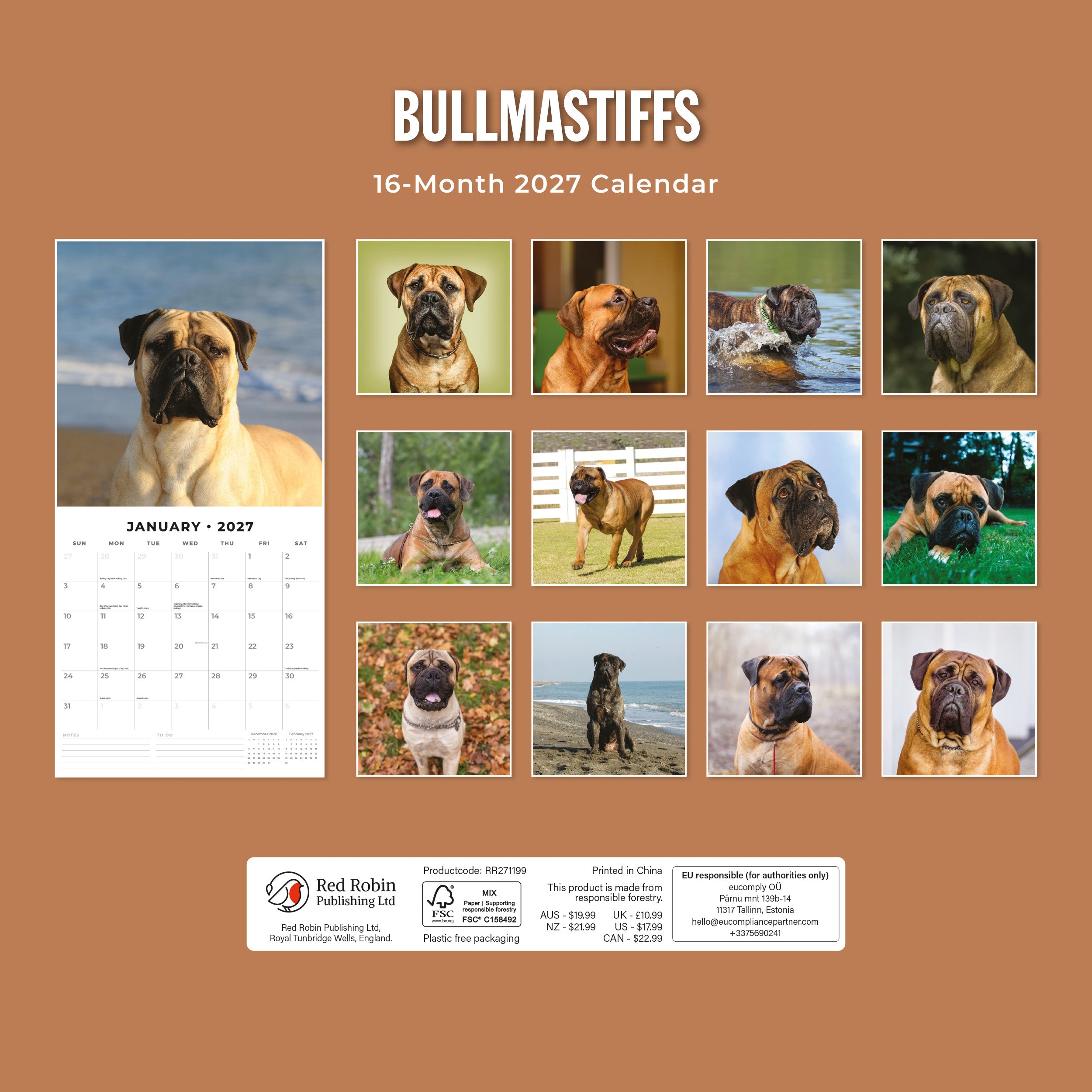 2027 Bullmastiffs - Square Wall Calendar
