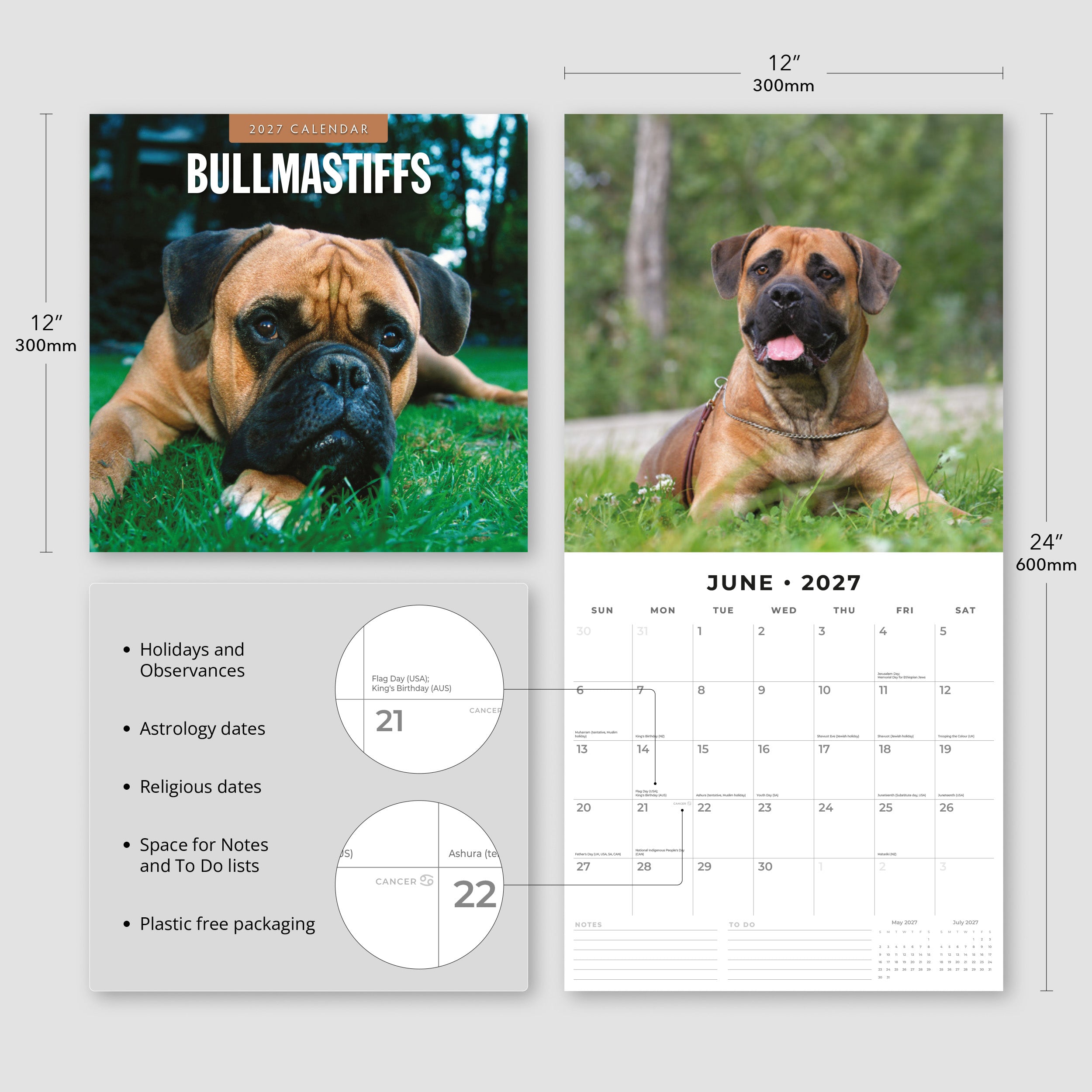 2027 Bullmastiffs - Square Wall Calendar
