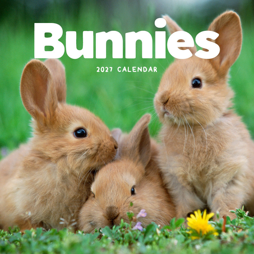 2027 Bunnies - Square Wall Calendar