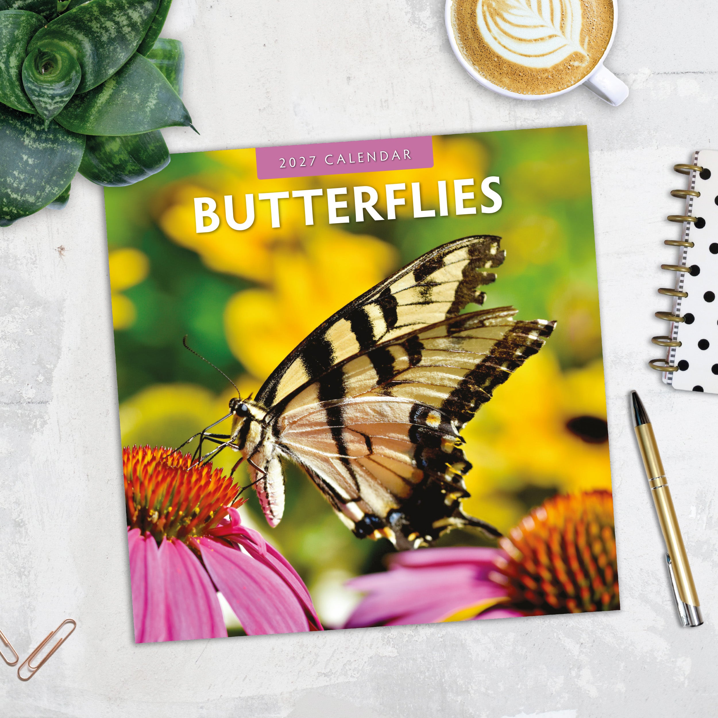Butterflies-top.jpg