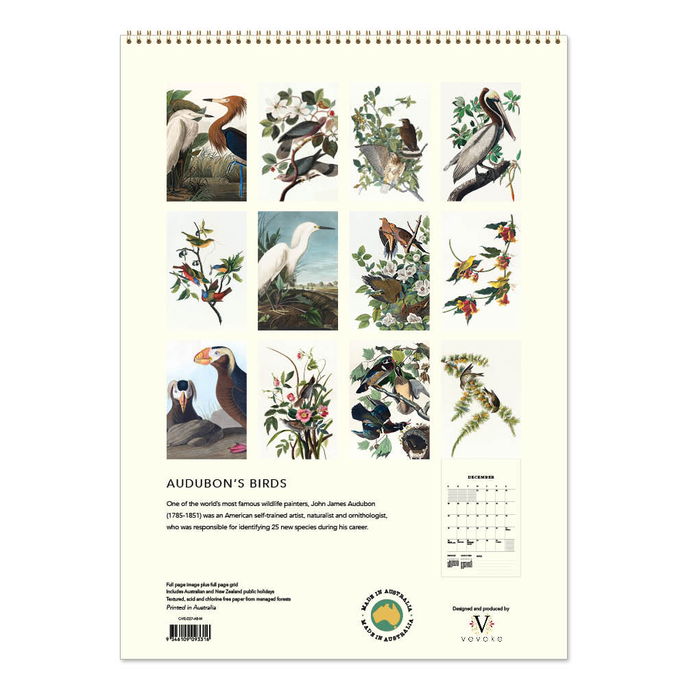 2027 Audubon's Birds - Deluxe Wall Calendar
