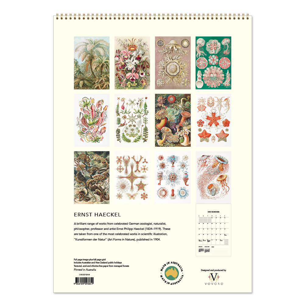 2027 Ernst Haeckel - Deluxe Wall Calendar