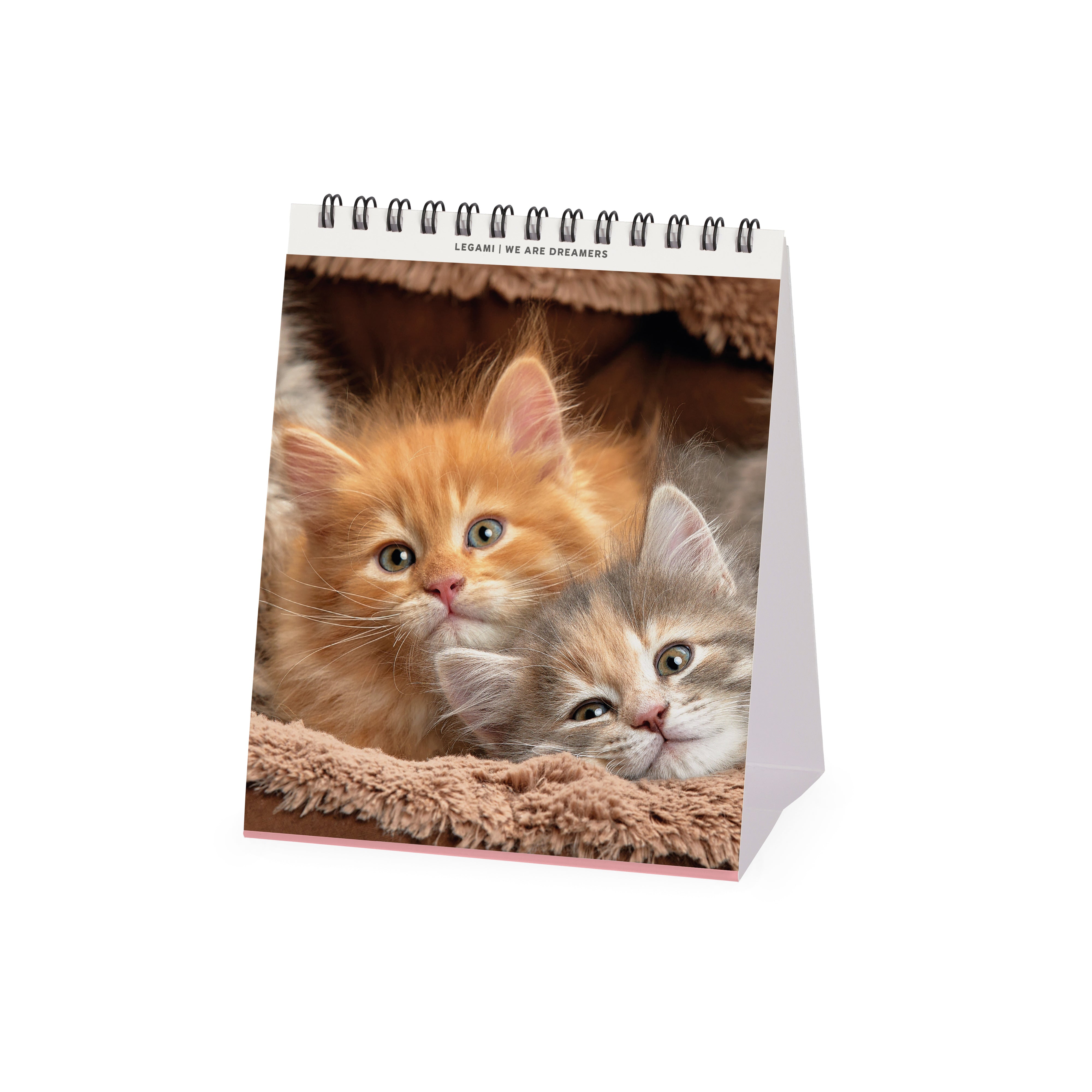 2026 Kittens - Desk Easel Calendar