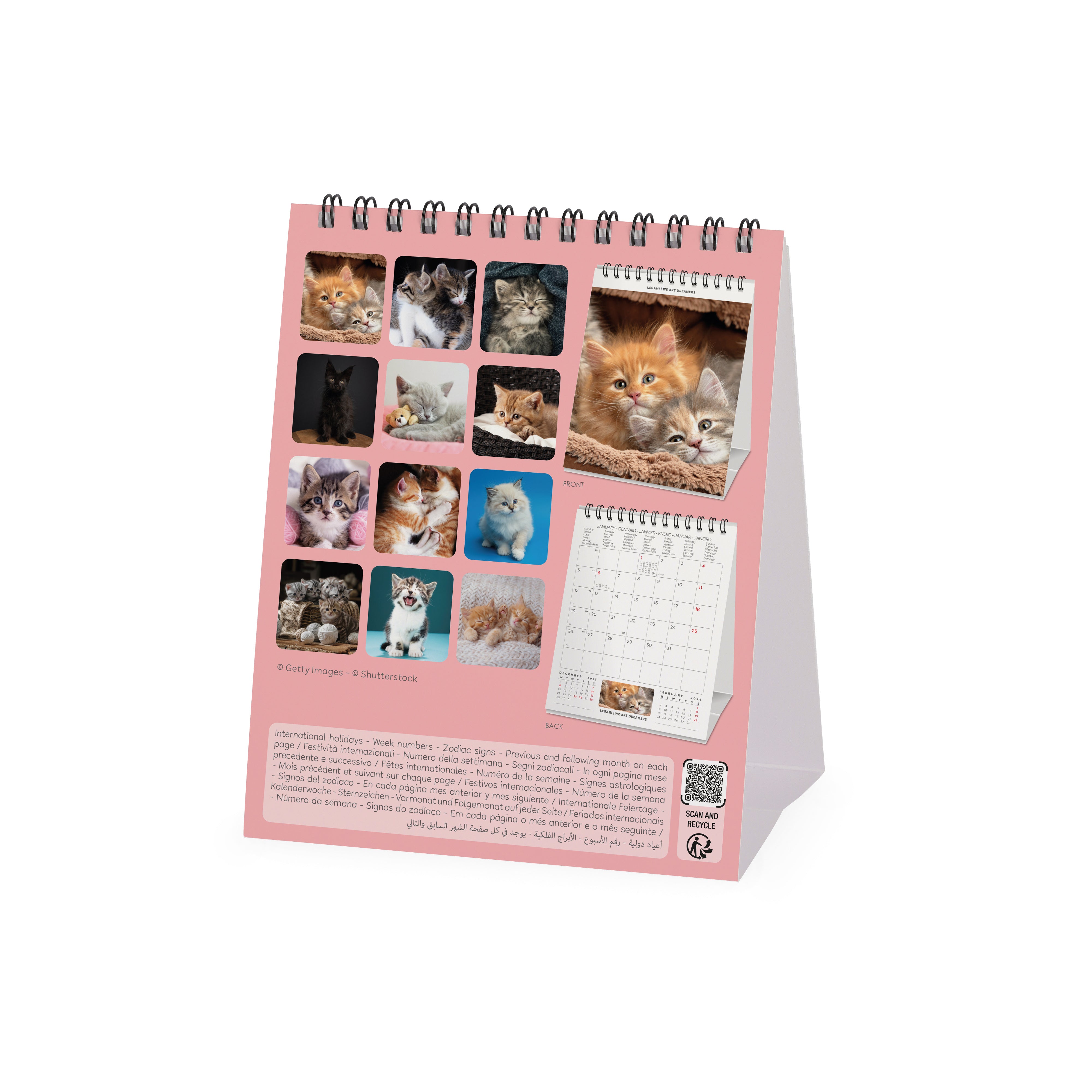 2026 Kittens - Desk Easel Calendar