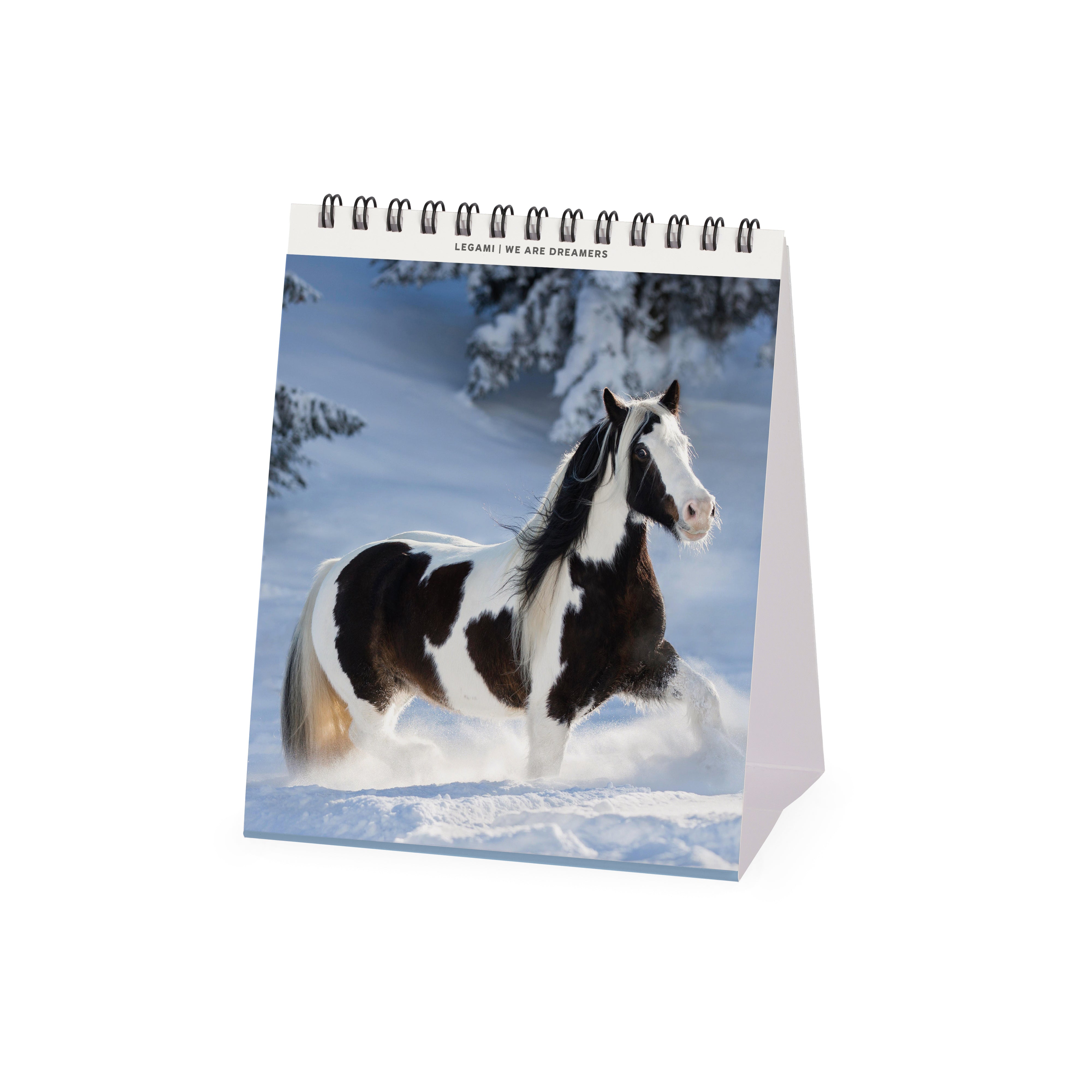 2026 Wild Horses - Desk Easel Calendar